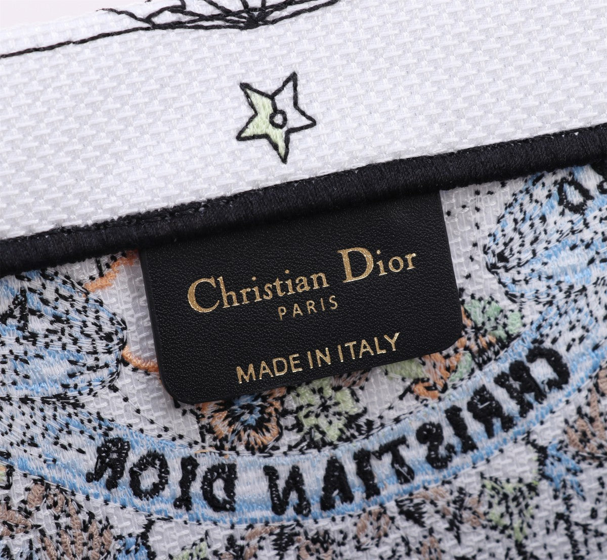 Christian Dior Large Book Tote Butterfly Embroidered Canvas Bag