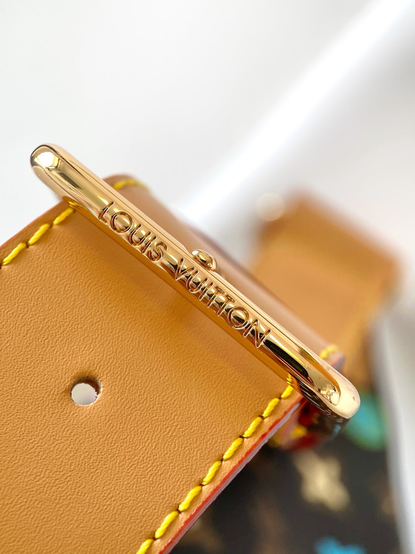 Louis Vuitton Bumbag Monogram Multicolor Canvas Belt Bag
