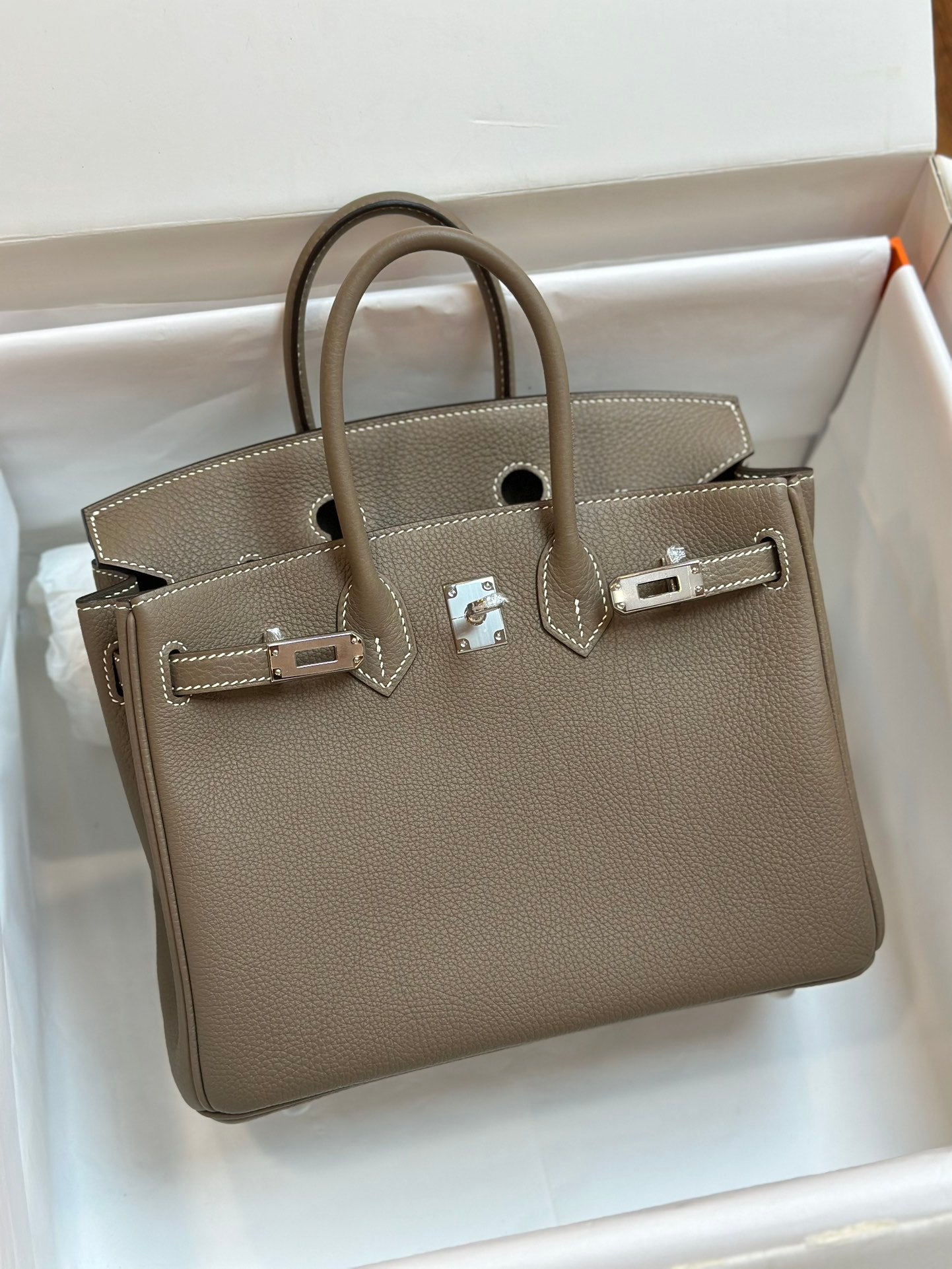 Luxury Taupe Leather Handbag with Silver-Tone Hardware