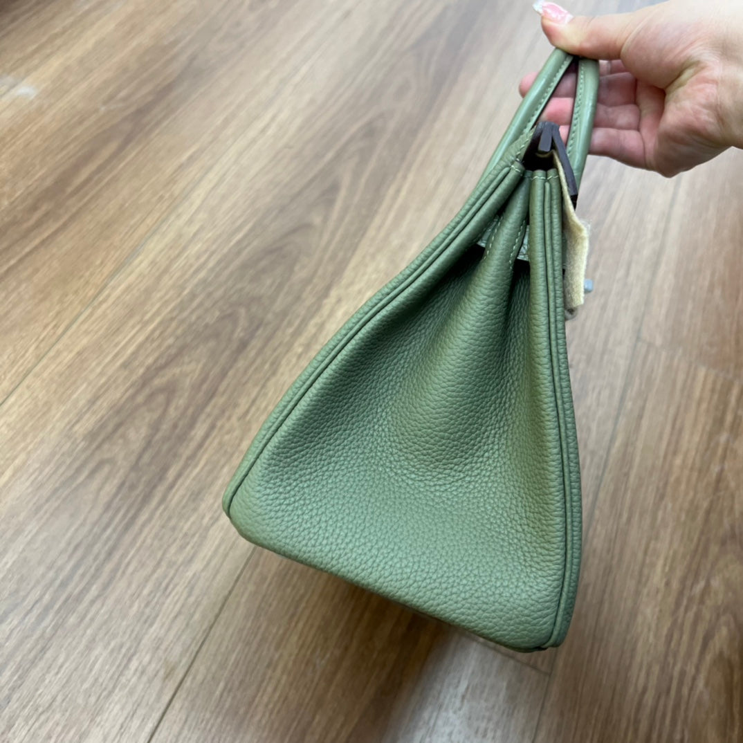 Sage Green Two-Tone Croc-Embossed Leather Birkin Style Top Handle Handbag