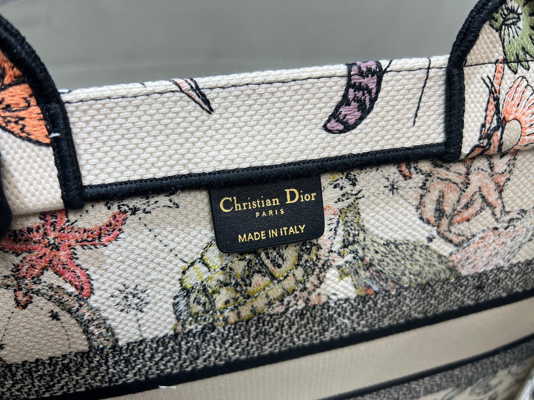 Christian Dior Book Tote - Multicolor Toile de Jouy Voyage Embroidery