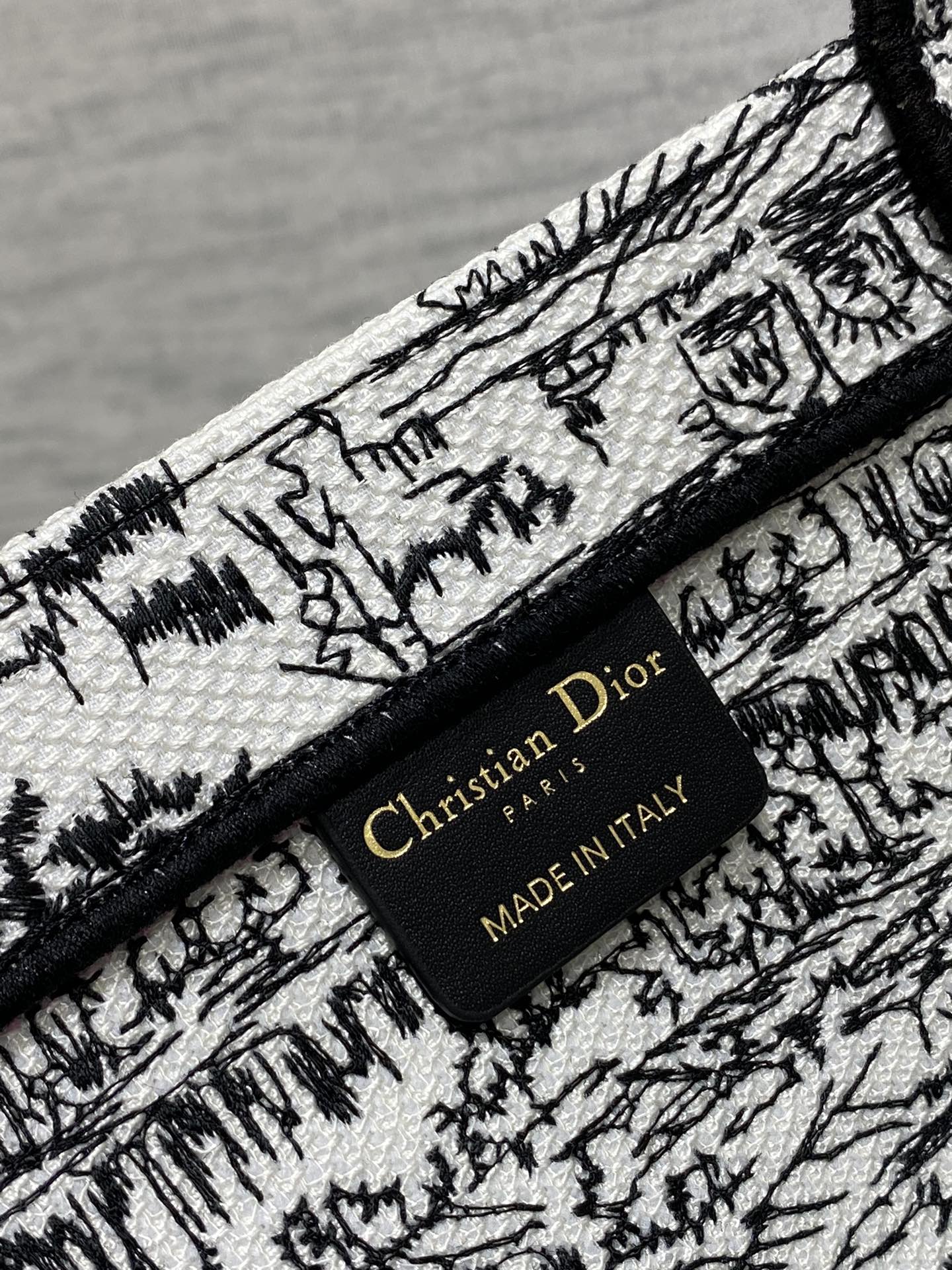 Christian Dior Large Book Tote Bag - White and Black Plan de Paris Embroidery