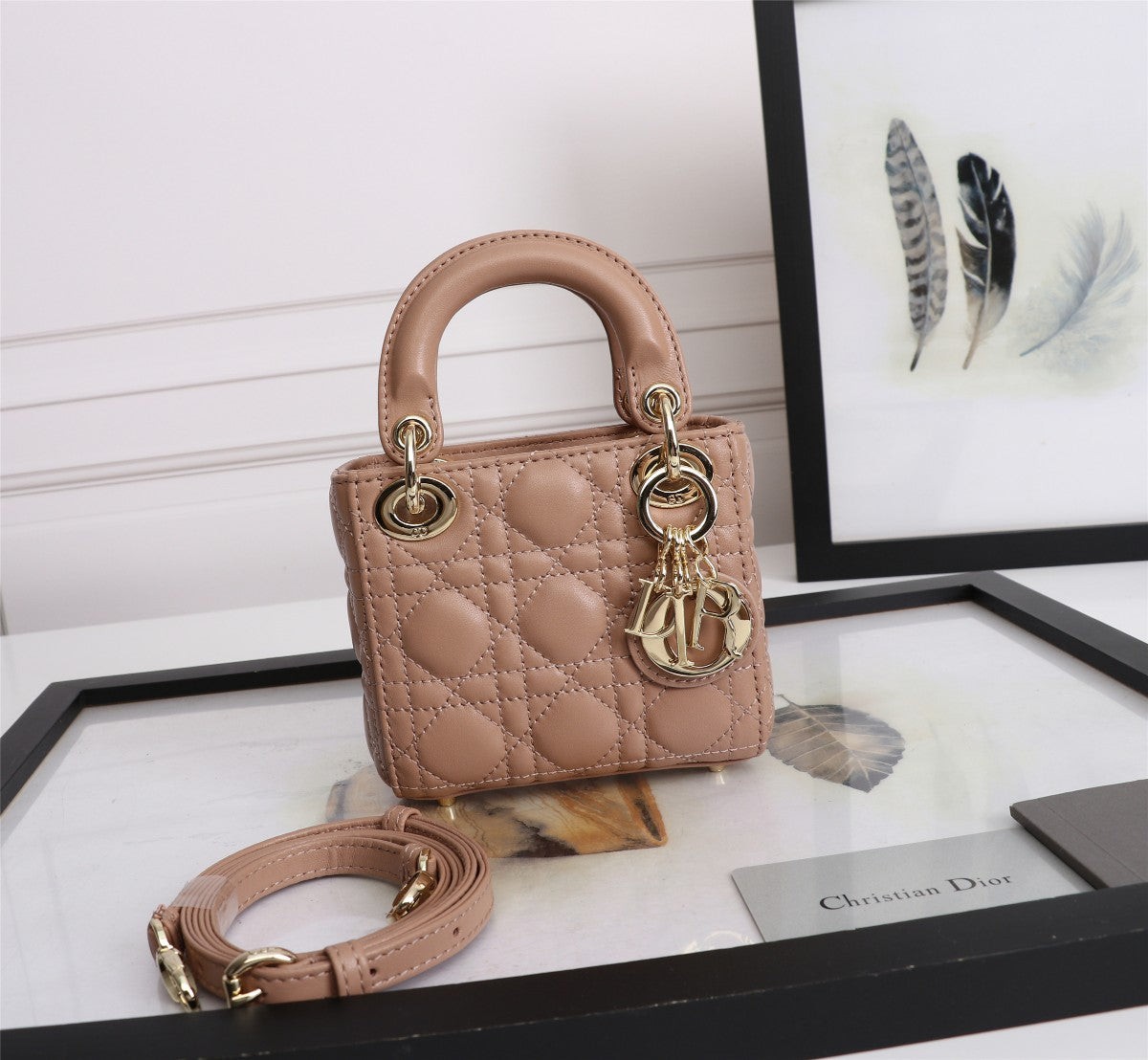 Micro Lady Dior Bag in Nude Cannage Lambskin with Gold-Finish Charms
