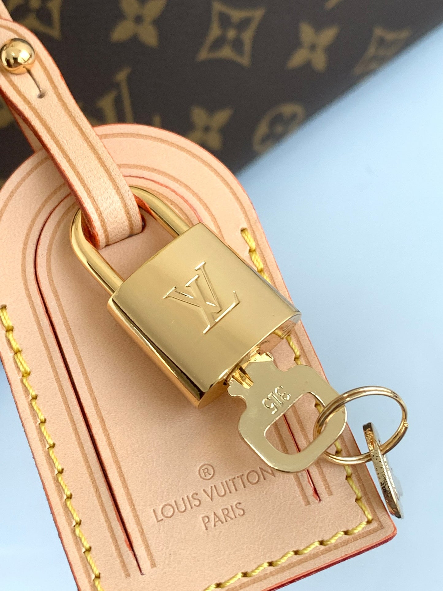 Louis Vuitton Monogram Canvas Cluny Handbag - Brown