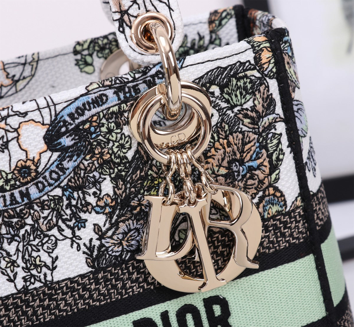 Christian Dior Lady D-Lite Bag with Multicolor Butterfly Embroidery
