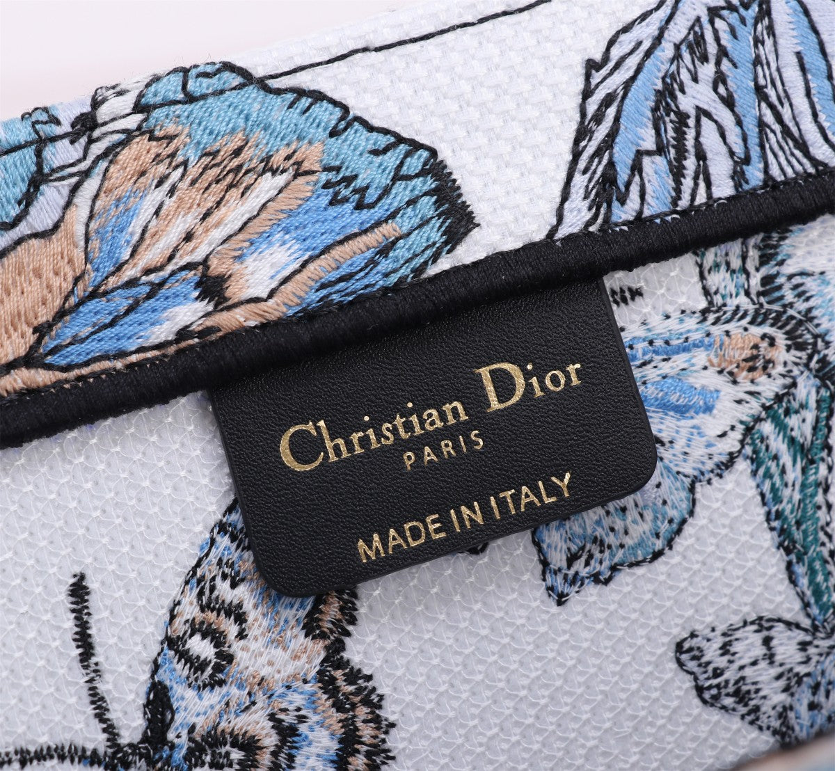 Christian Dior Medium Book Tote with Blue Butterfly Embroidery