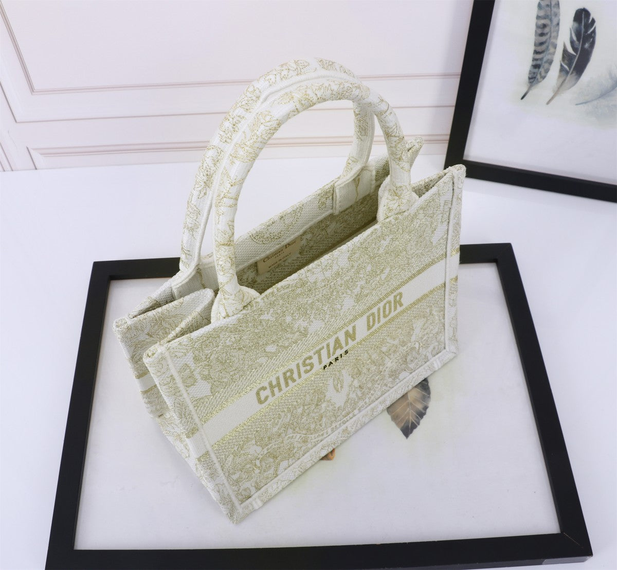 Christian Dior Medium Book Tote Toile de Jouy Embroidery Light Green Canvas Bag