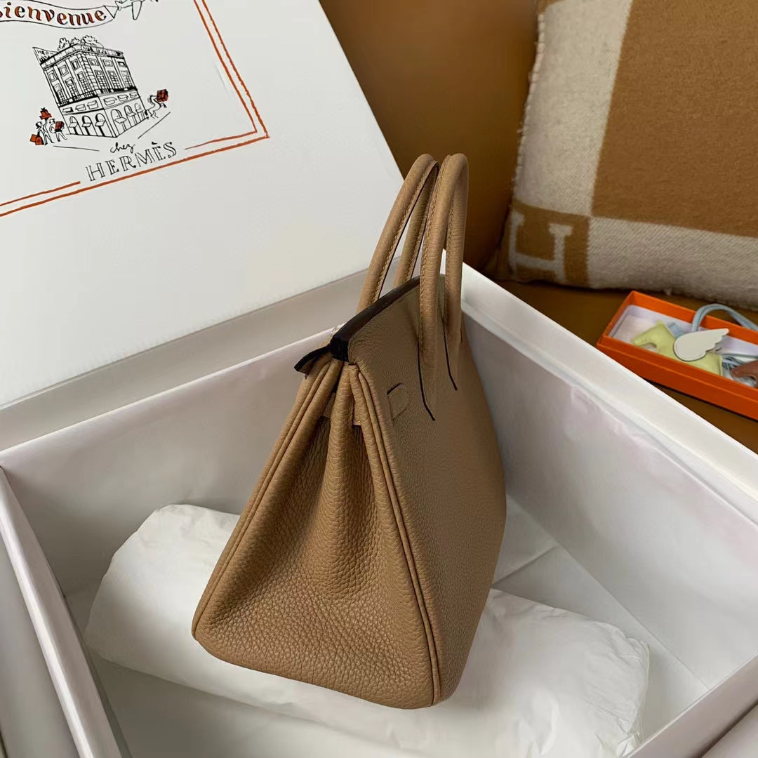 Hermès Birkin 25 Togo Leather Gold Hardware - Trench