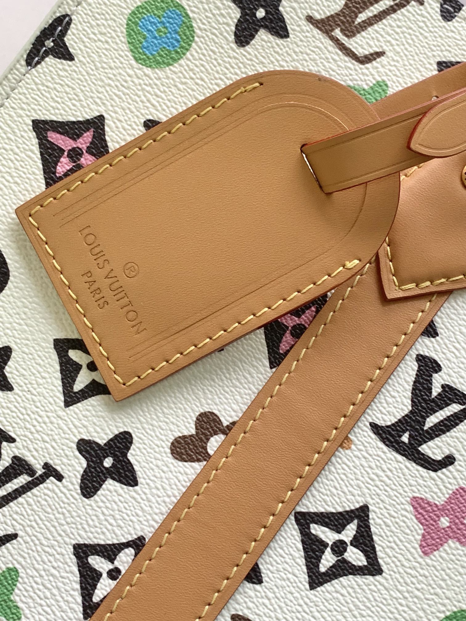 Louis Vuitton Sac Plat PM Monogram Multicolor Canvas Tote Bag