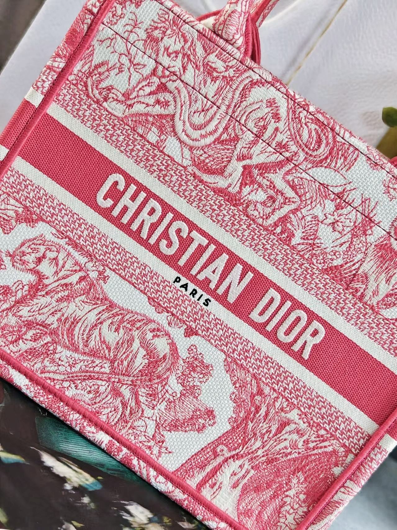 Christian Dior Small Book Tote - Red Toile de Jouy Embroidered Canvas