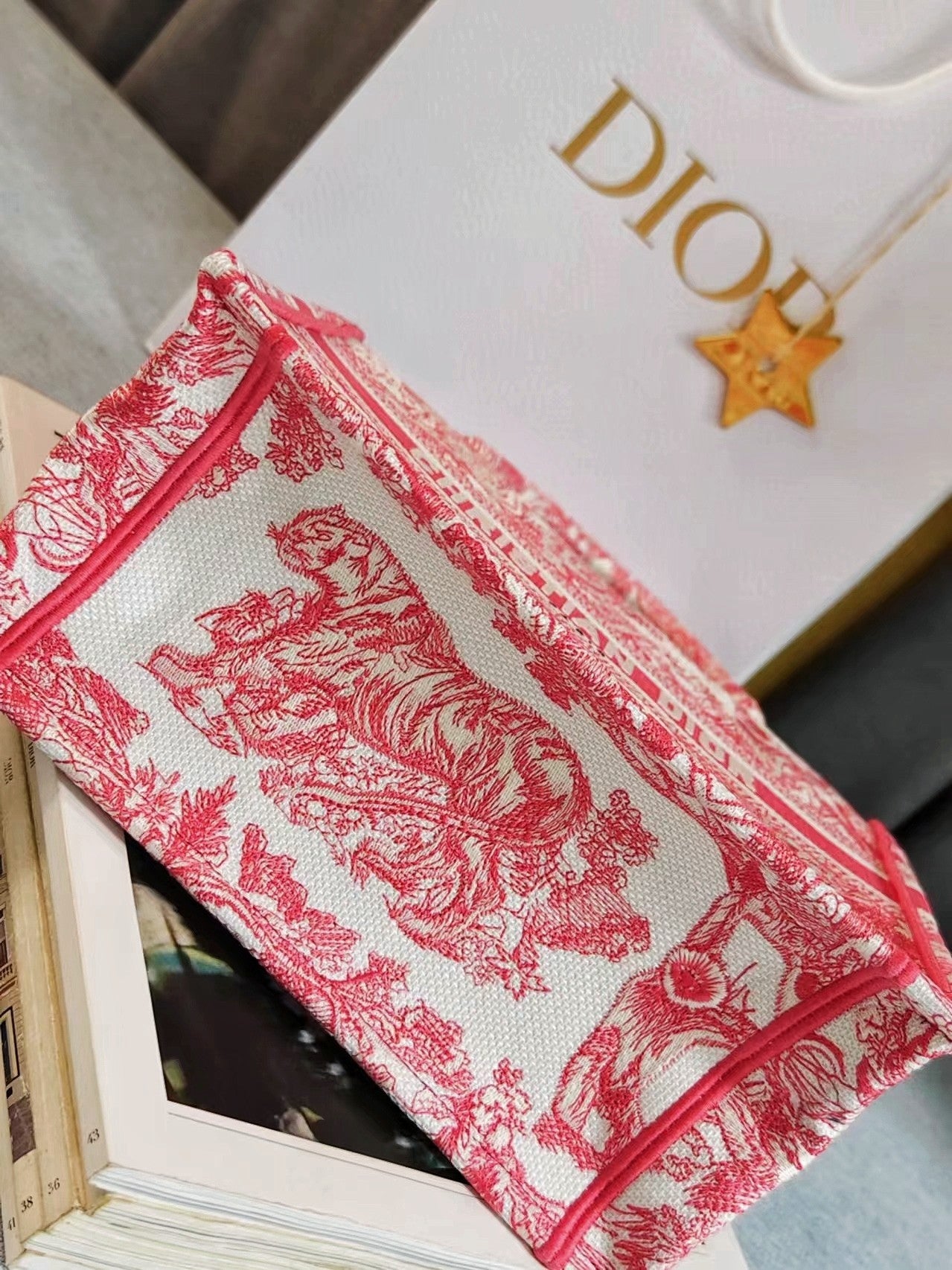 Christian Dior Small Book Tote - Red Toile de Jouy Embroidered Canvas