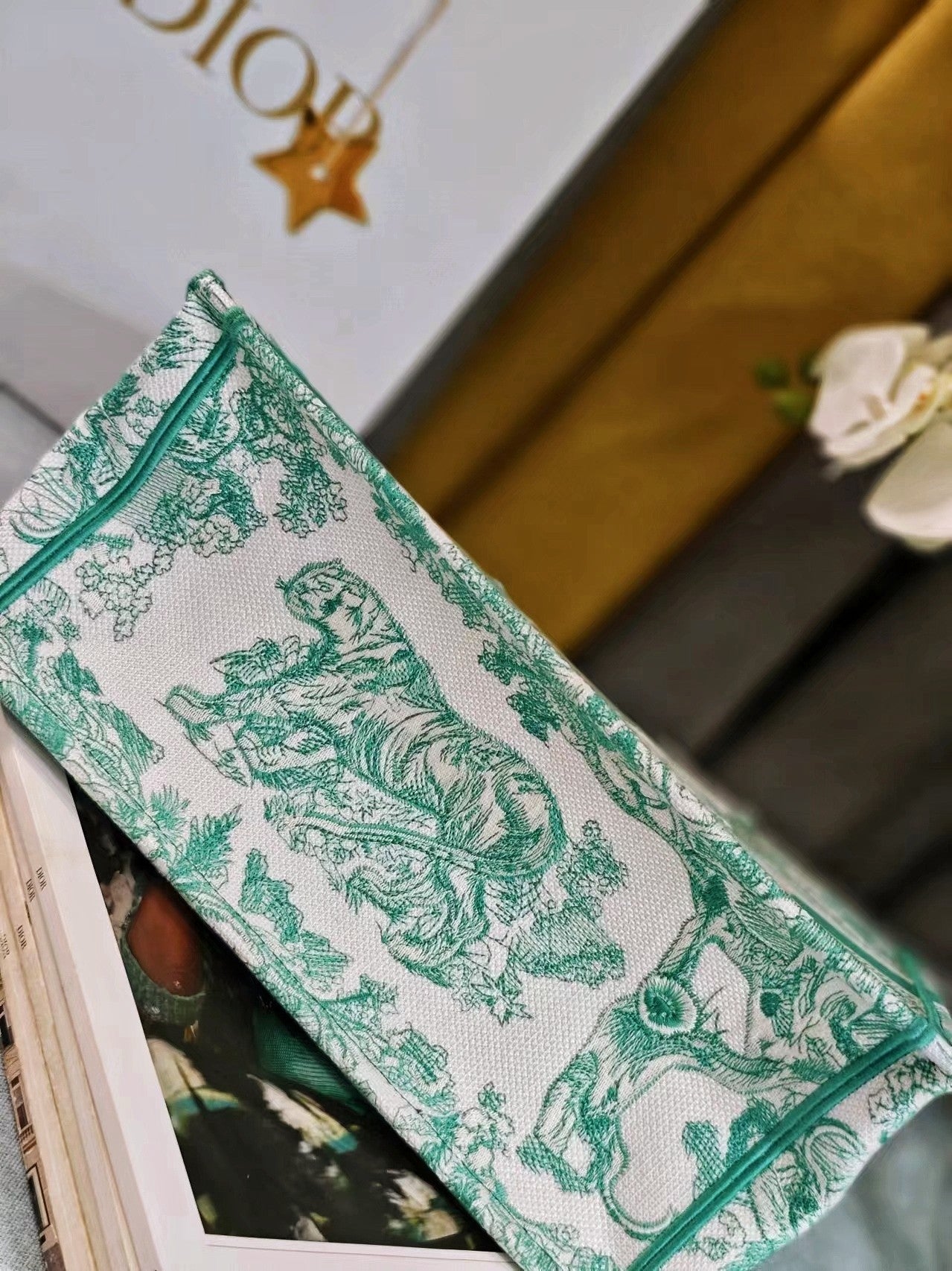 Christian Dior Medium Book Tote Bag - Green Toile de Jouy Reverse Embroidery