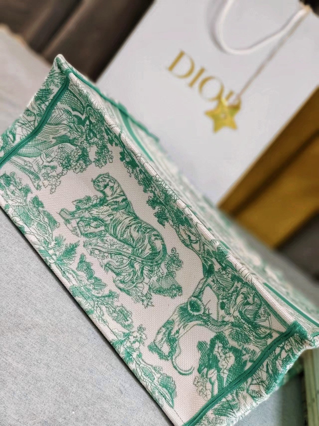 Christian Dior Large Green Toile de Jouy Book Tote Bag