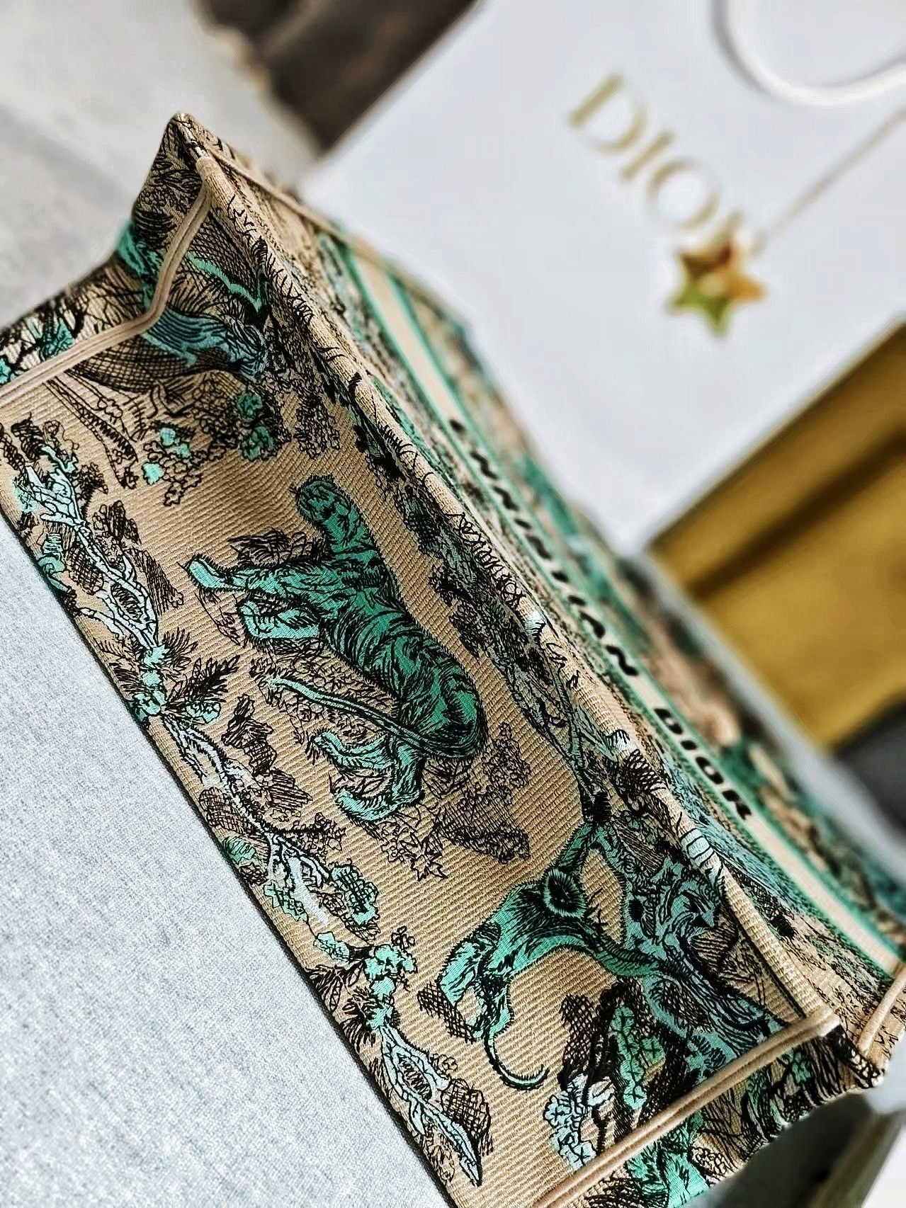 Christian Dior Toile de Jouy Embroidered Book Tote - Teal & Beige