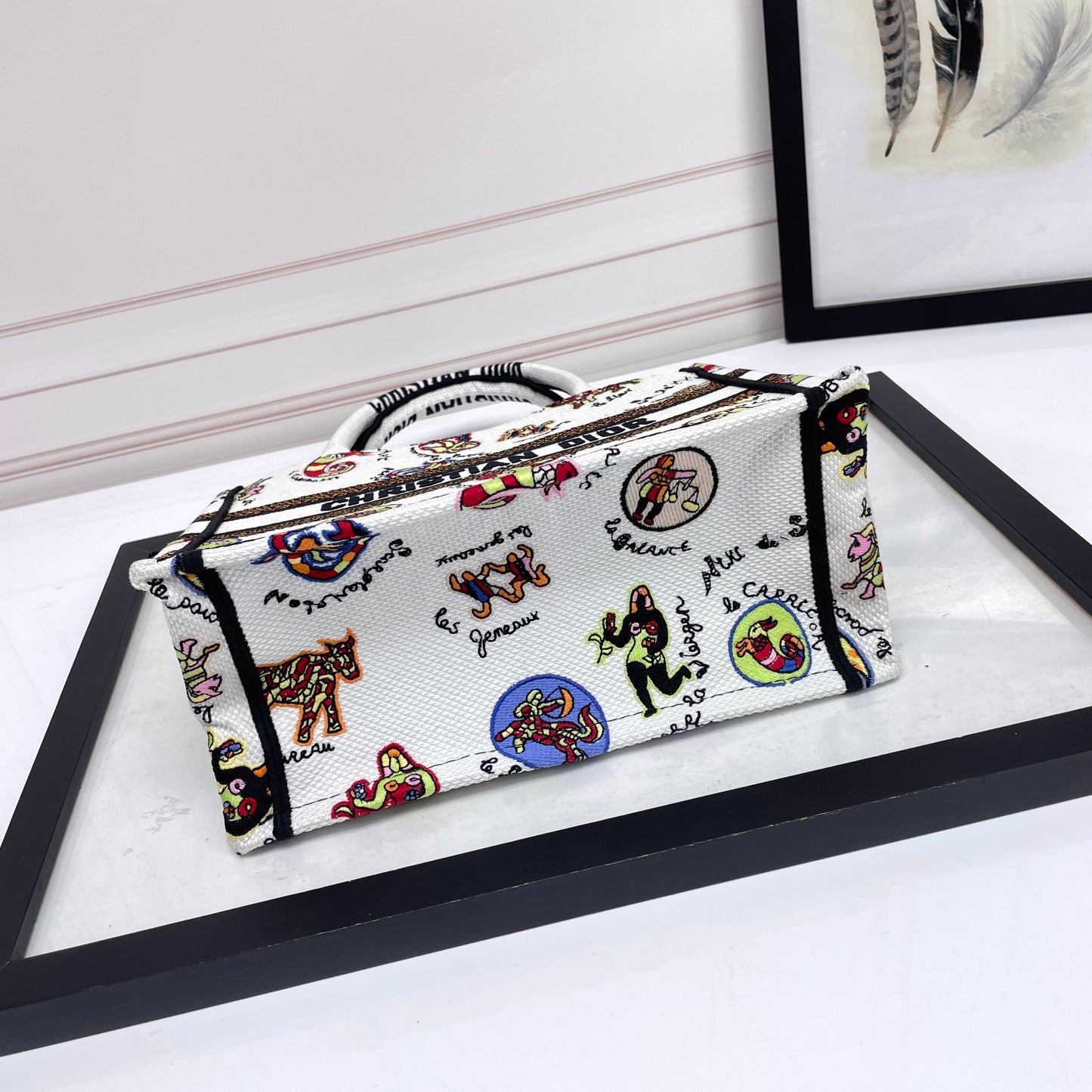 Christian Dior Book Tote Canvas Bag with Multi-Color Animal Print