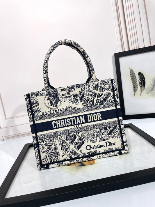Christian Dior Medium Book Tote - Plan de Paris White and Navy Blue Embroidery