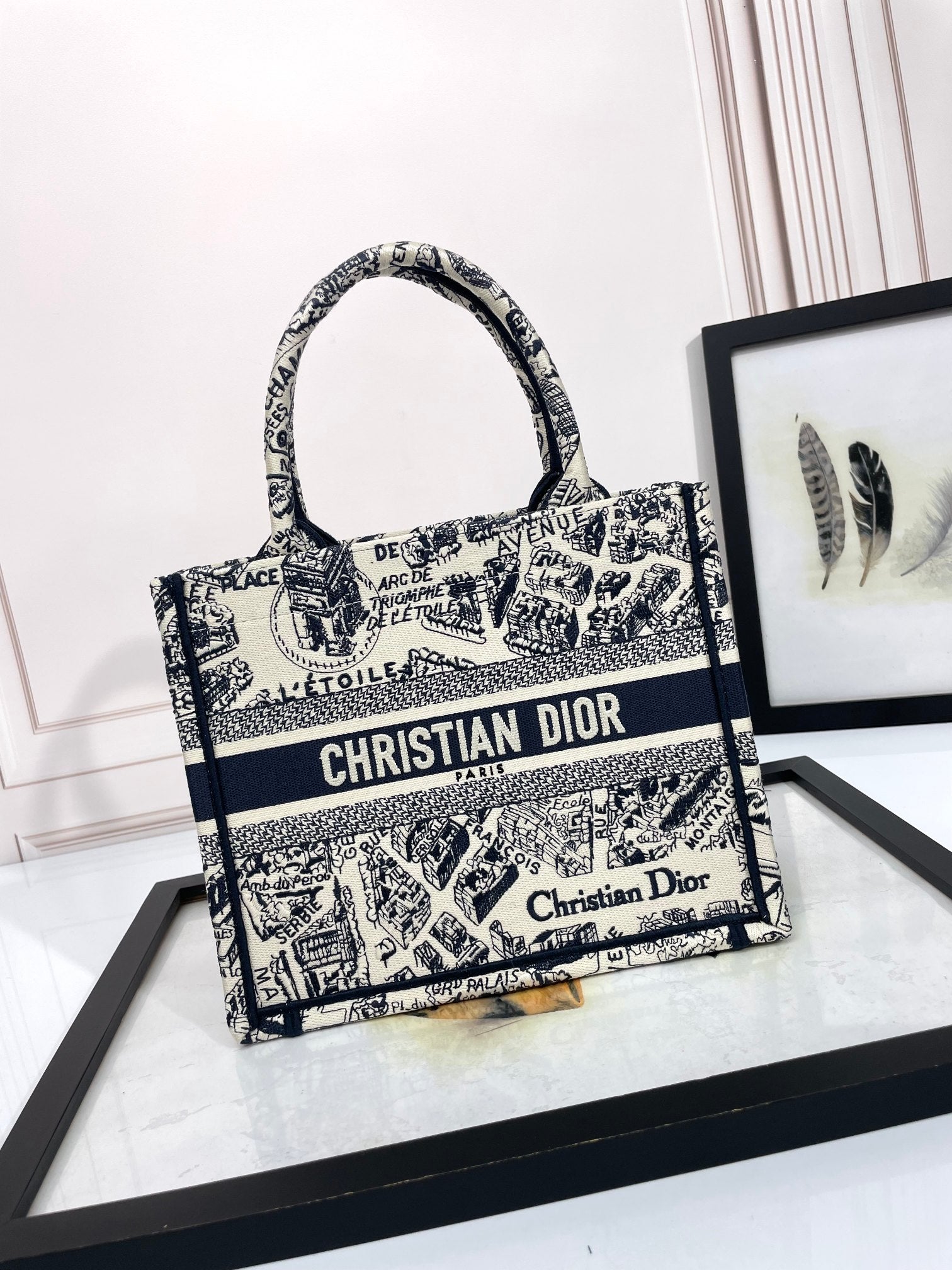 Christian Dior Medium Book Tote Bag - Black and White Plan de Paris Embroidery