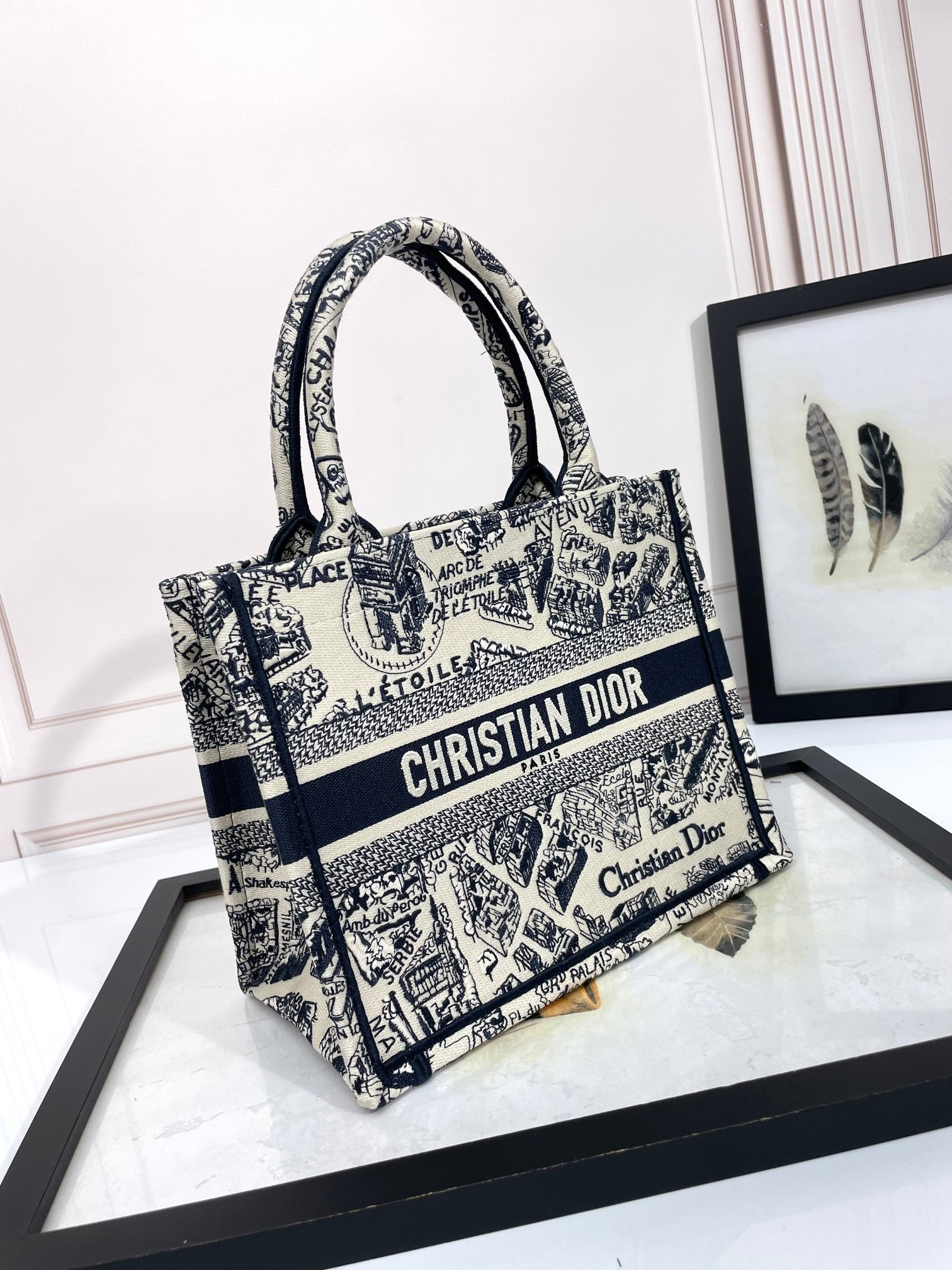 Christian Dior Medium Book Tote - Plan de Paris White and Navy Blue Embroidery
