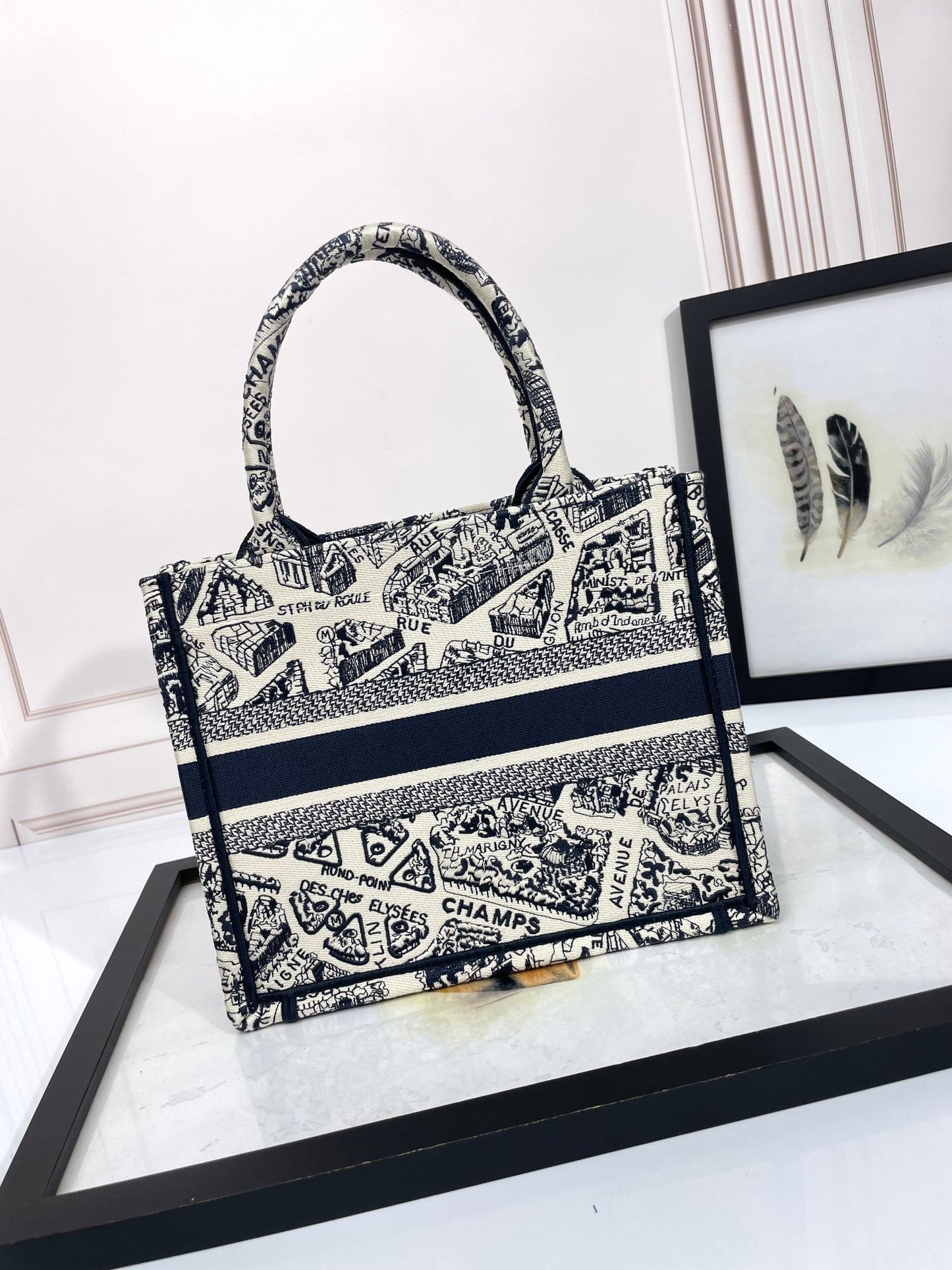 Christian Dior Medium Book Tote - Plan de Paris White and Navy Blue Embroidery