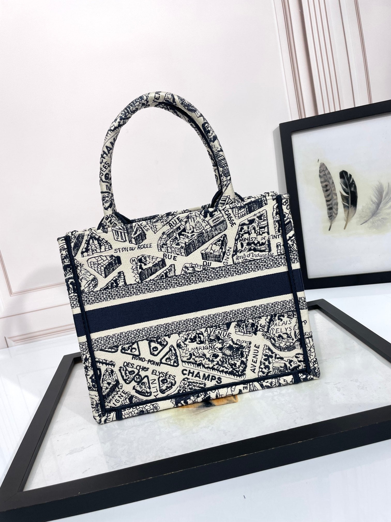 Christian Dior Medium Book Tote - Plan de Paris White and Navy Blue Embroidery