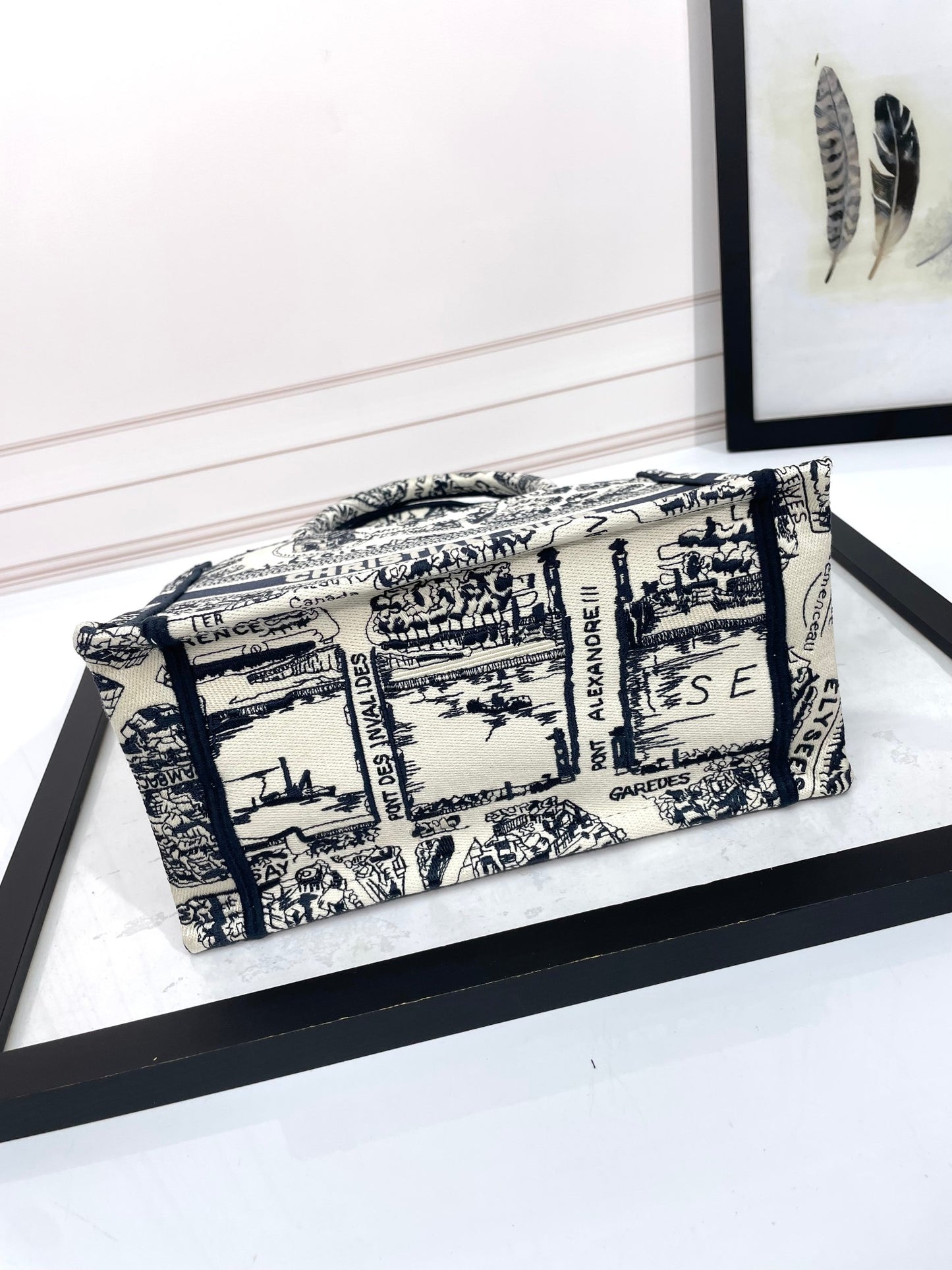 Christian Dior Medium Book Tote Bag - Black and White Plan de Paris Embroidery