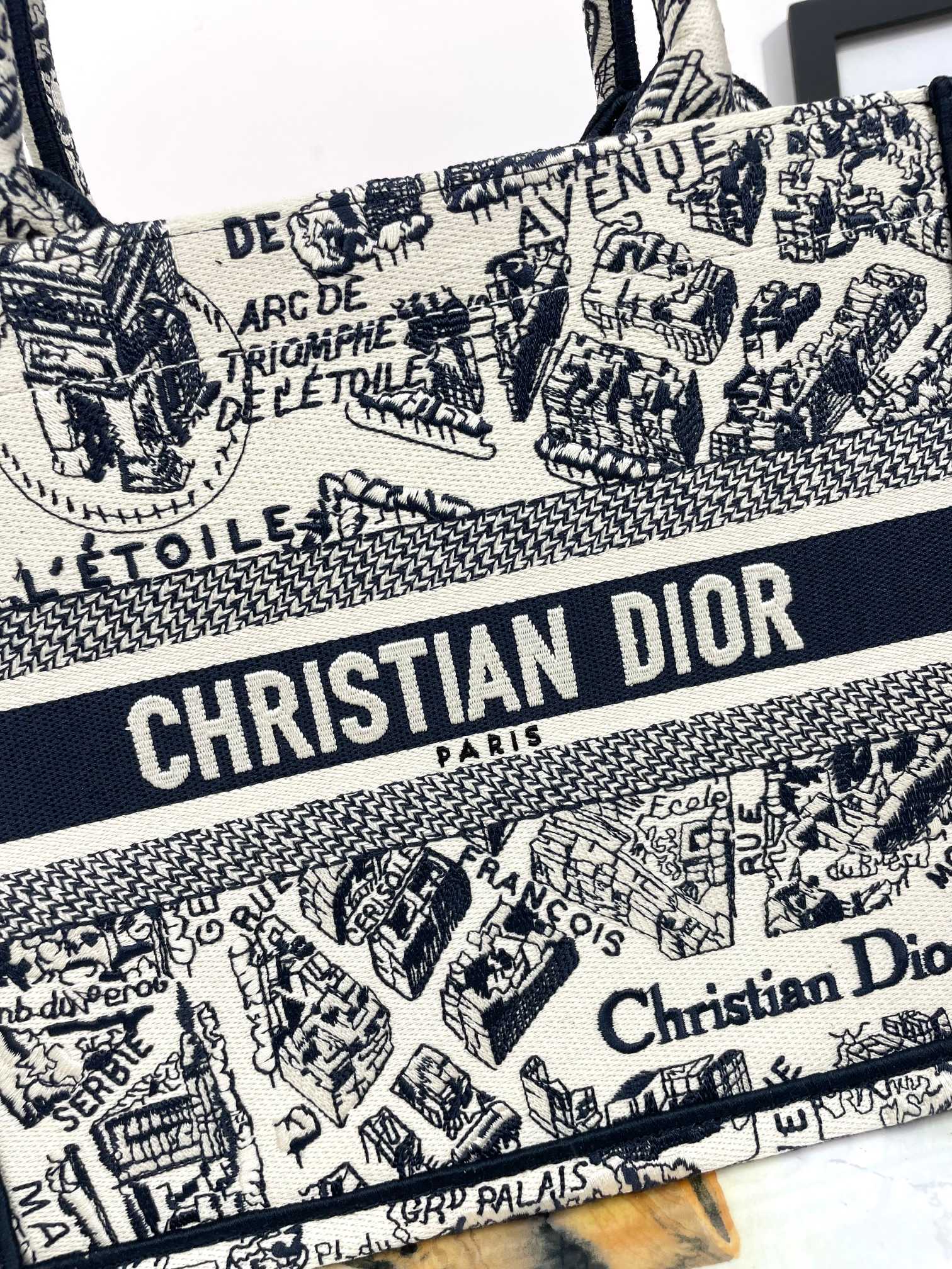 Christian Dior Medium Book Tote - Plan de Paris White and Navy Blue Embroidery