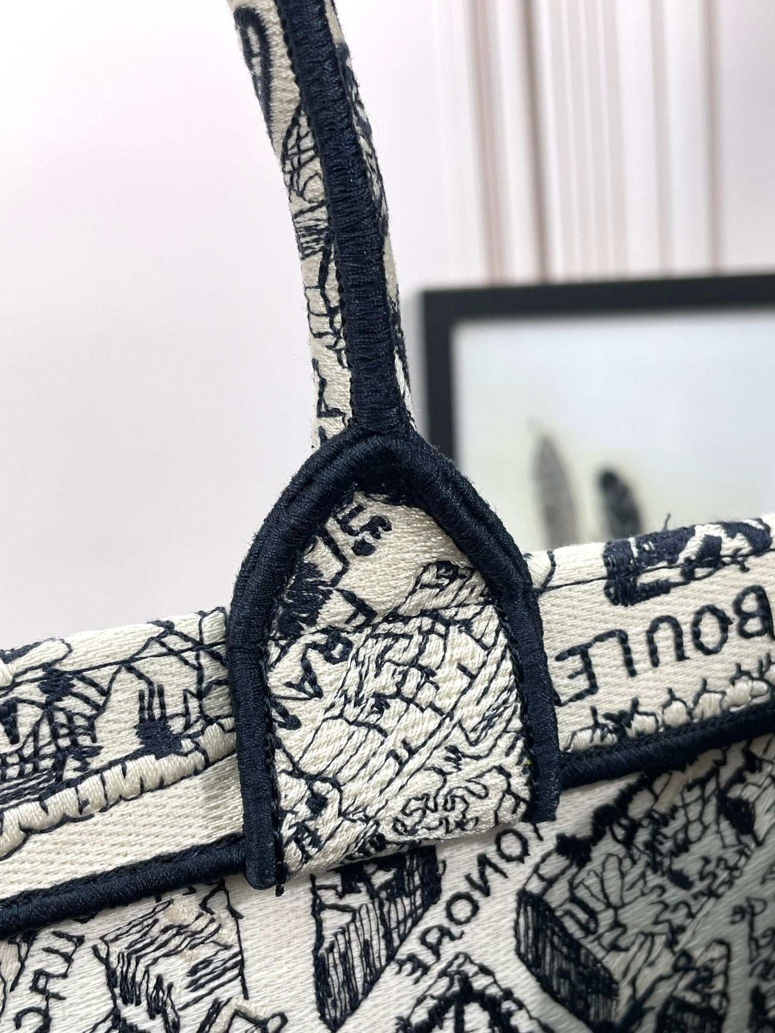 Christian Dior Medium Book Tote Bag - Black and White Plan de Paris Embroidery