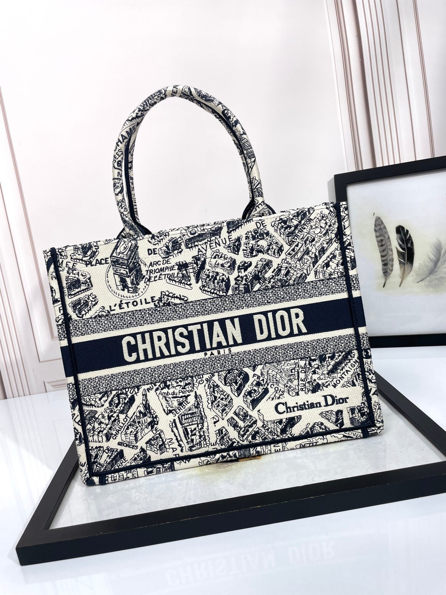 Christian Dior Book Tote Plan de Paris Embroidered Bag