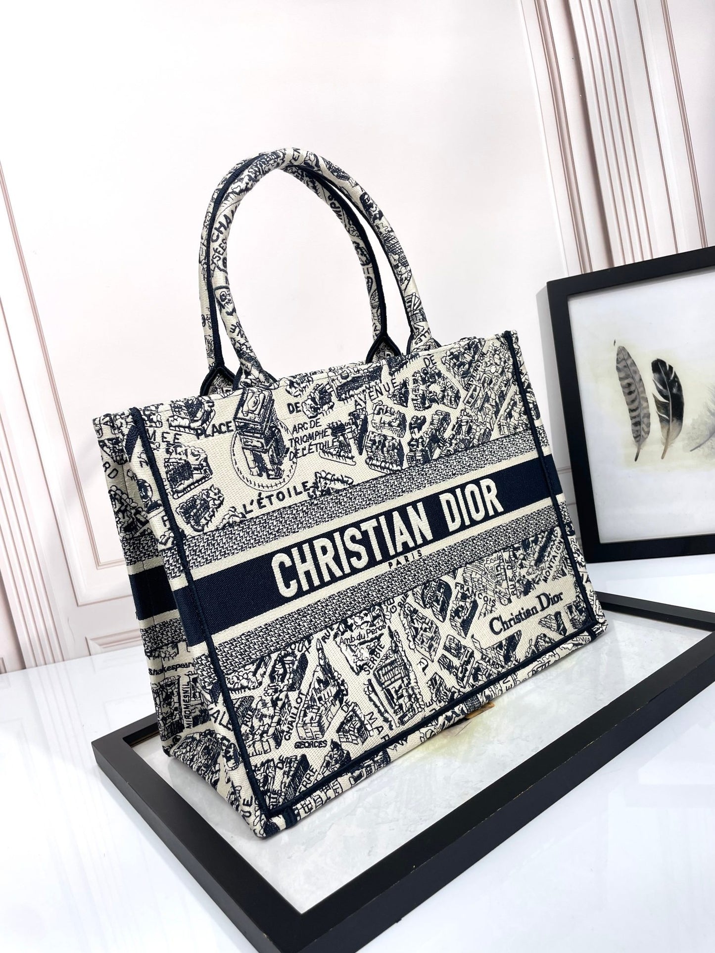 Christian Dior Large Book Tote - White and Black Plan de Paris Embroidery