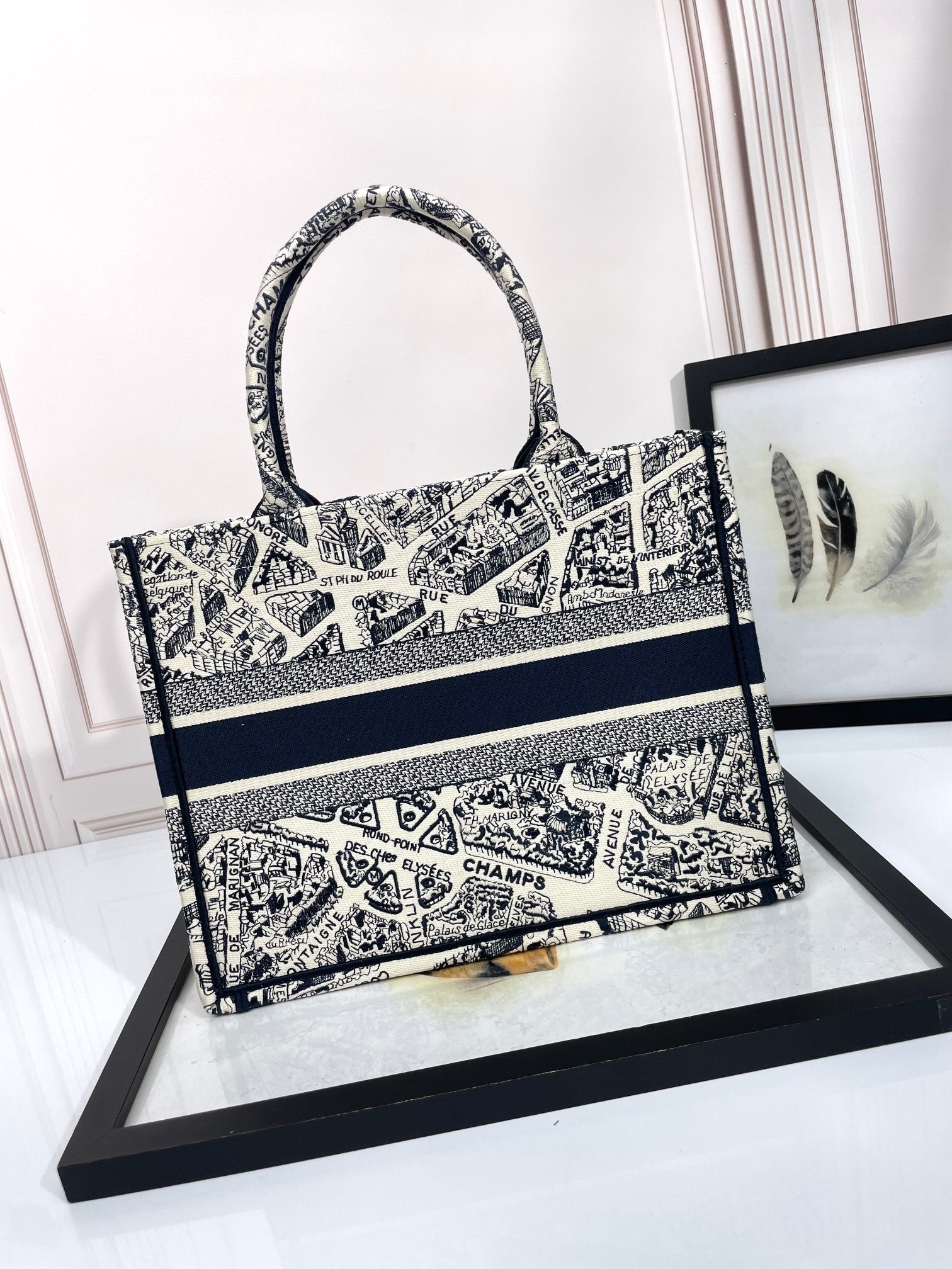 Christian Dior Large Book Tote - White and Black Plan de Paris Embroidery