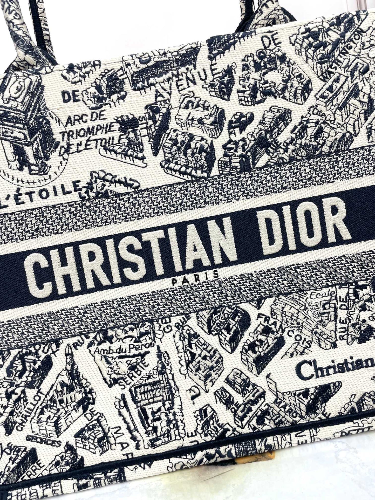 Christian Dior Book Tote Plan de Paris Embroidered Bag