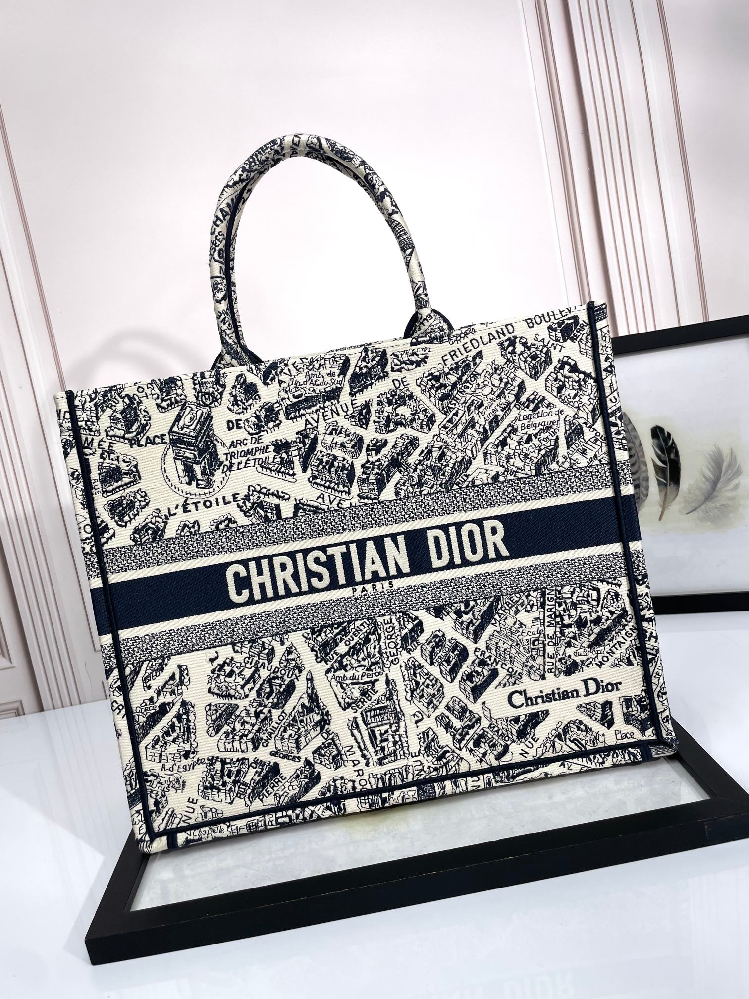 Christian Dior Medium Book Tote Plan de Paris Embroidery Canvas Bag