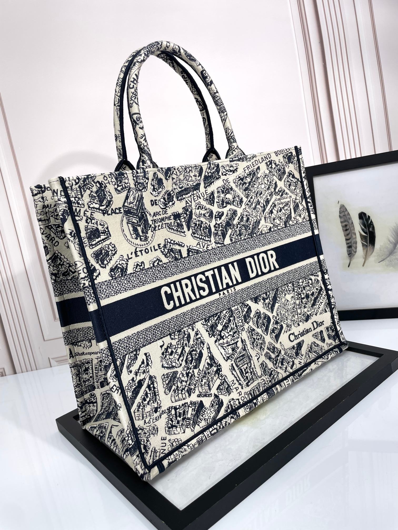 Christian Dior Large Book Tote Bag in Plan de Paris Embroidery - Luxury Designer Handbag