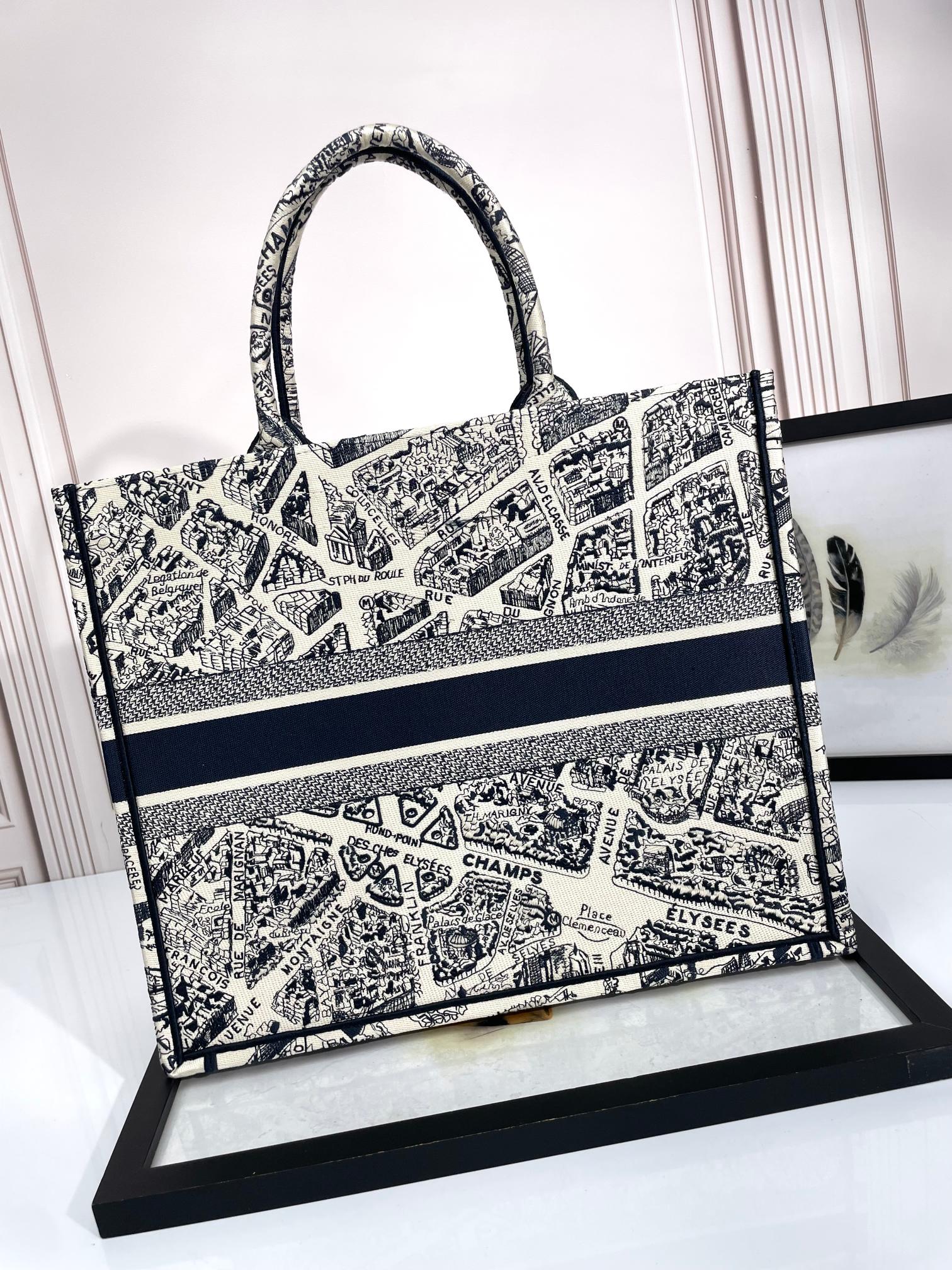 Christian Dior Medium Book Tote Plan de Paris Embroidery Canvas Bag