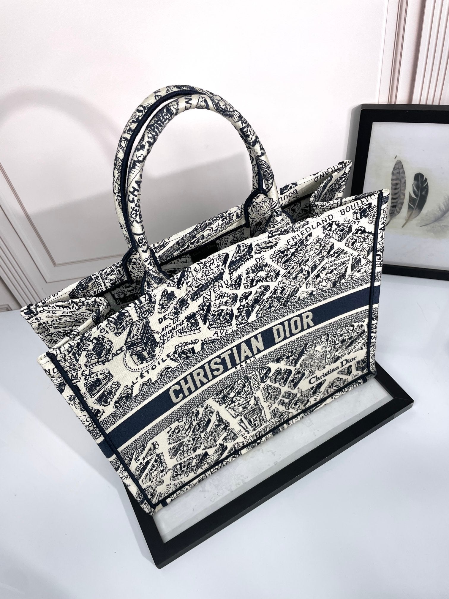 Christian Dior Medium Book Tote Plan de Paris Embroidery Canvas Bag