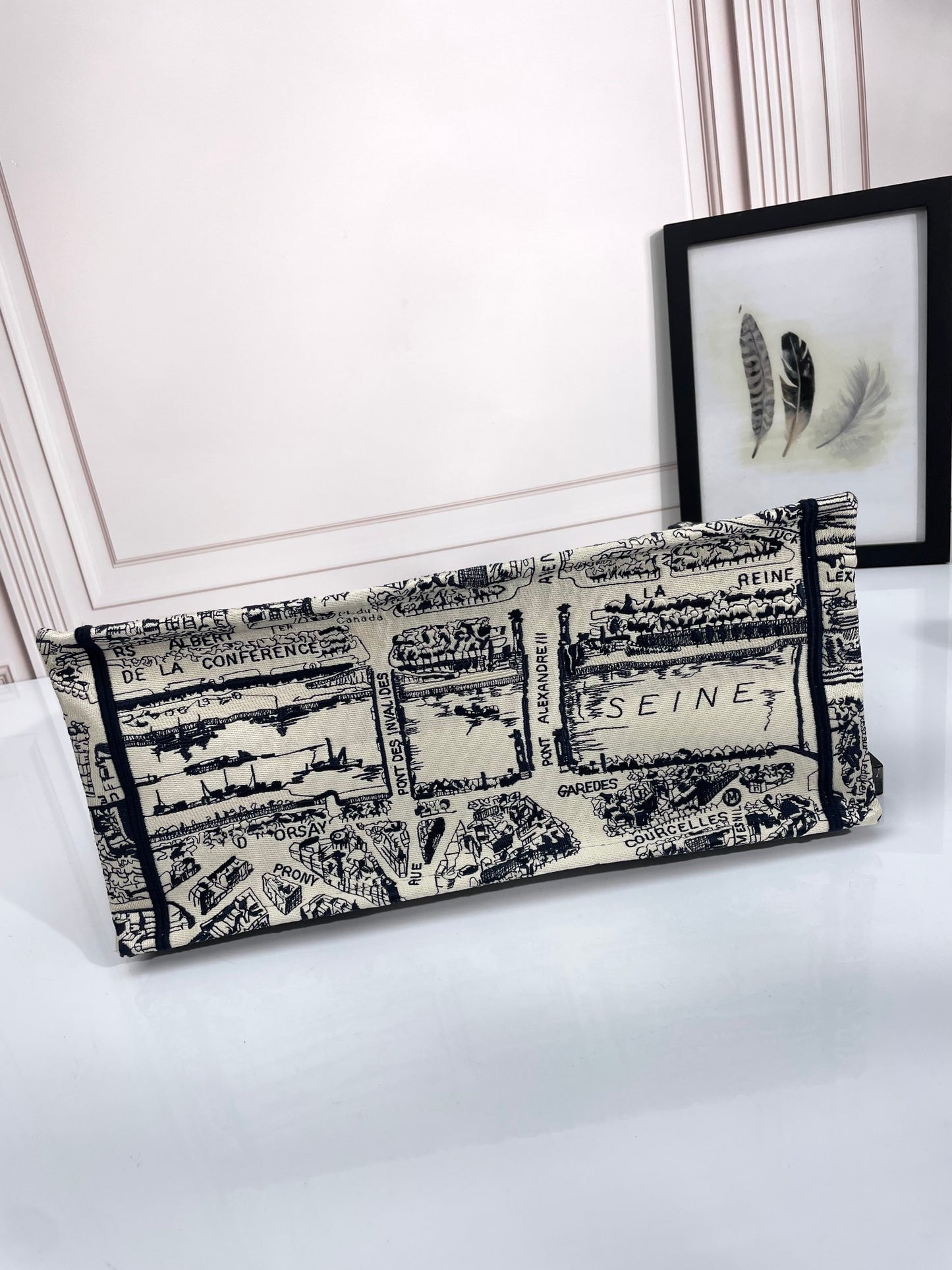Christian Dior Large Book Tote Bag in Plan de Paris Embroidery - Luxury Designer Handbag