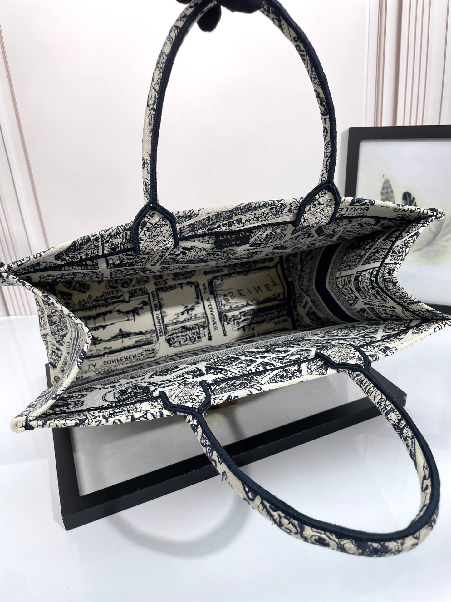 Christian Dior Medium Book Tote Plan de Paris Embroidery Canvas Bag