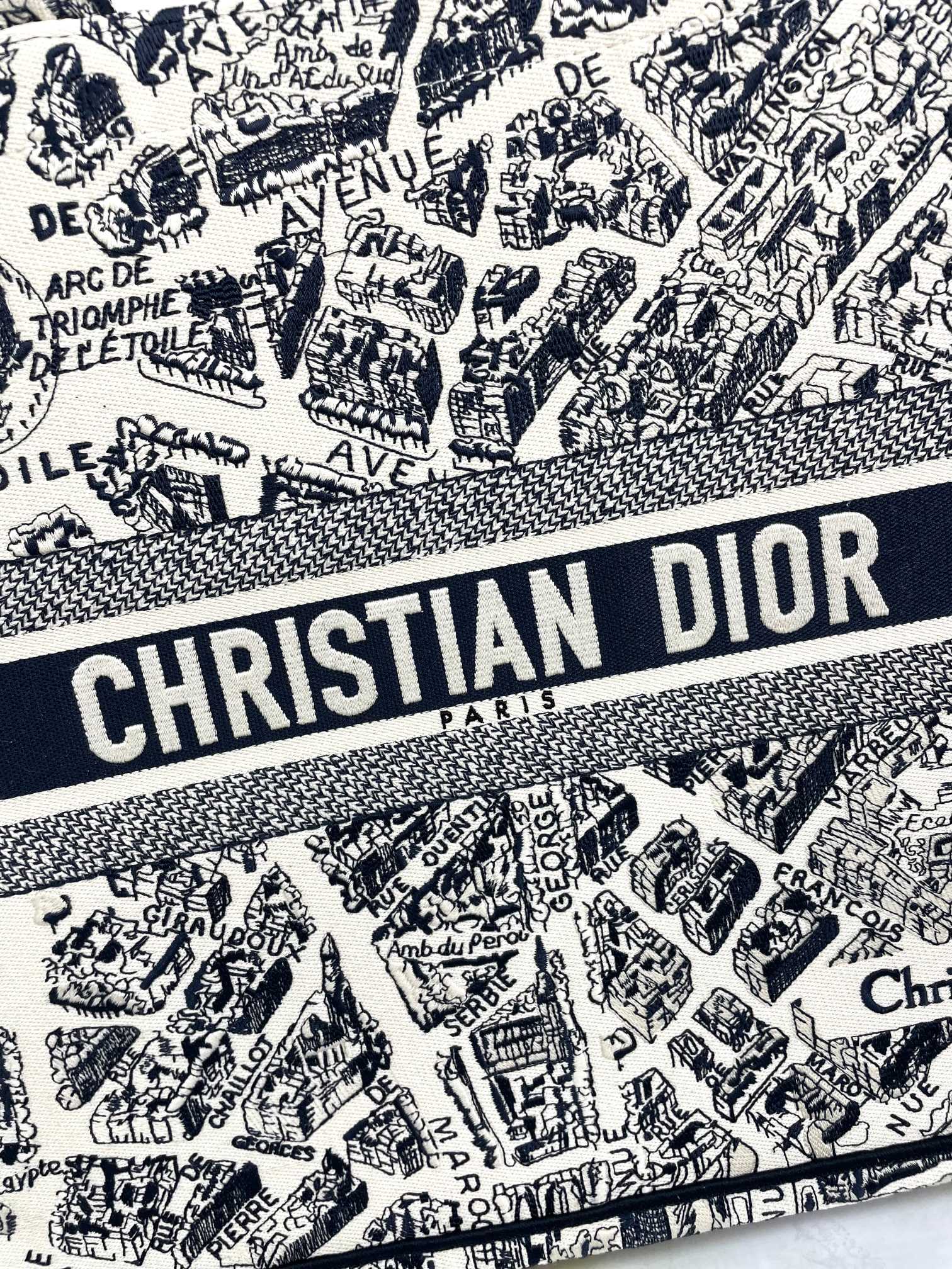 Christian Dior Medium Book Tote Plan de Paris Embroidery Canvas Bag