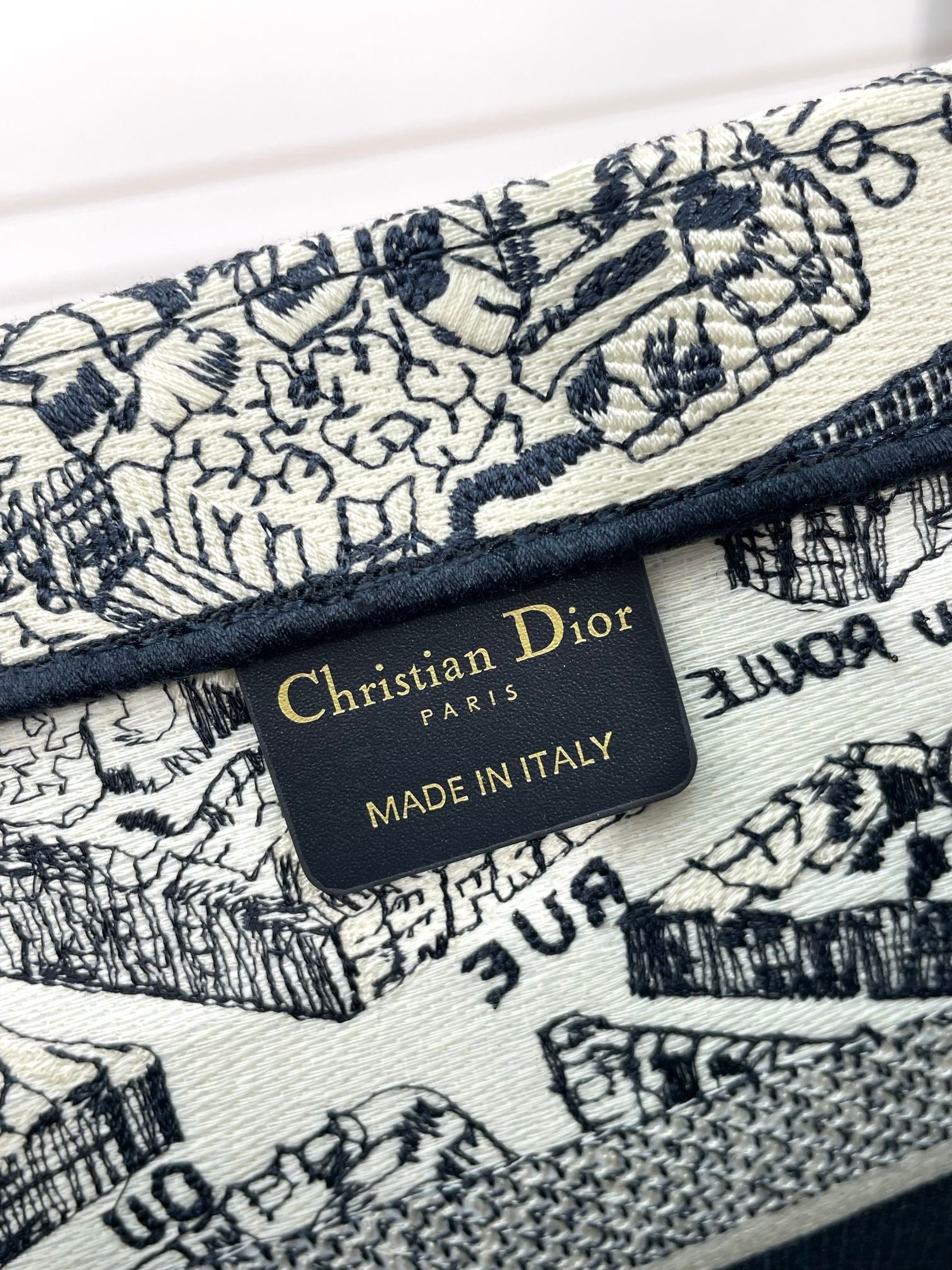 Christian Dior Medium Book Tote Plan de Paris Embroidery Canvas Bag