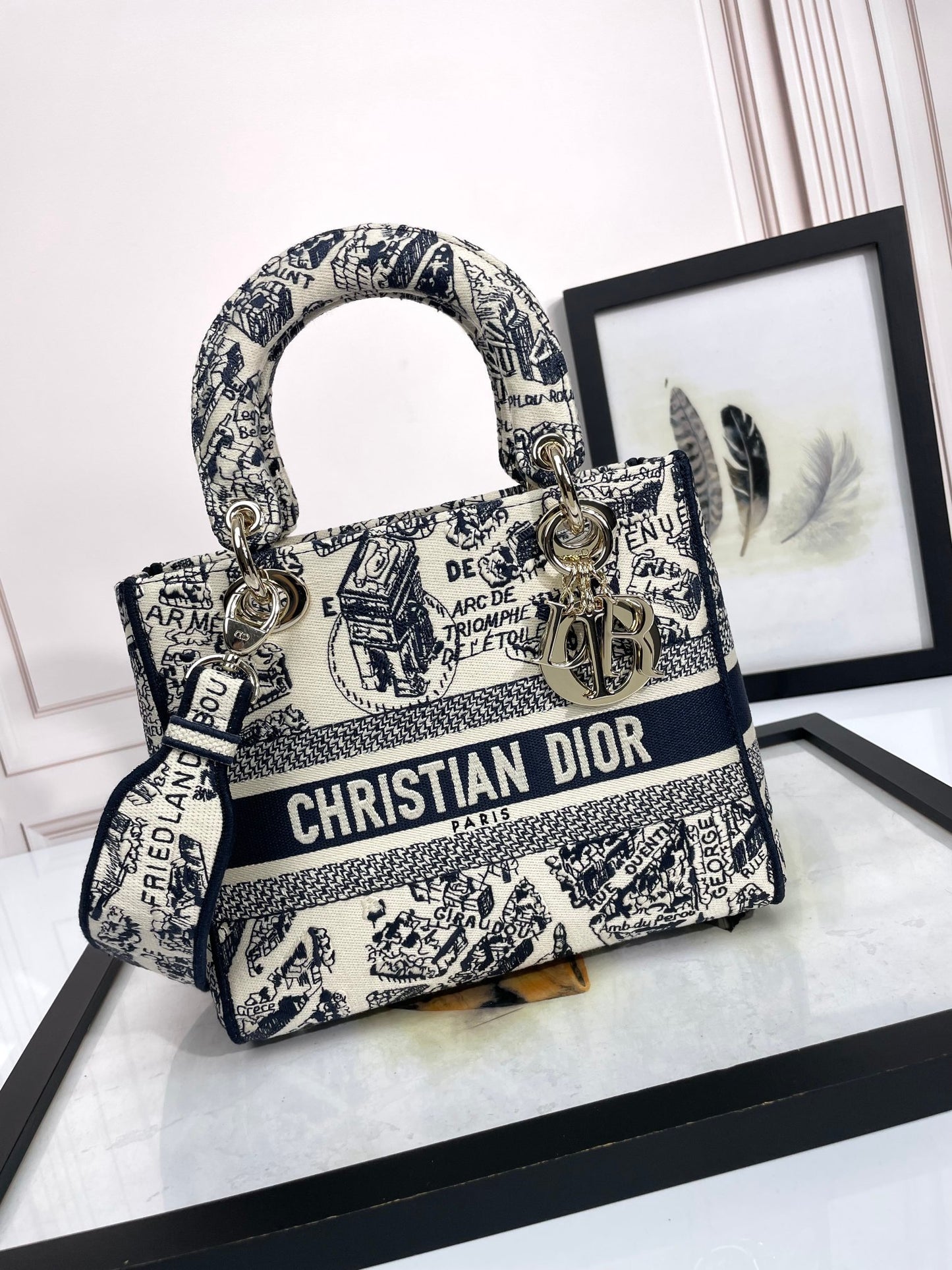 Christian Dior Lady D-Lite Bag - Toile de Jouy Embroidered Handbag