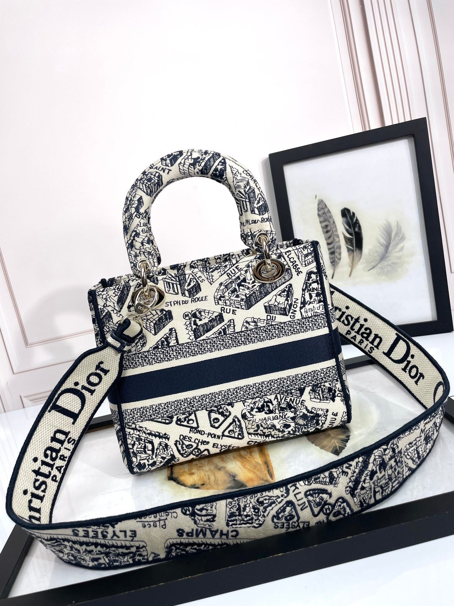 Christian Dior Medium Lady D-Lite Bag - Blue Toile de Jouy Embroidered Canvas Handbag