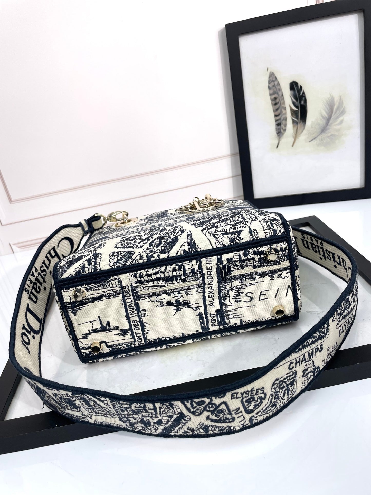 Christian Dior Lady D-Lite Bag - Toile de Jouy Embroidered Handbag