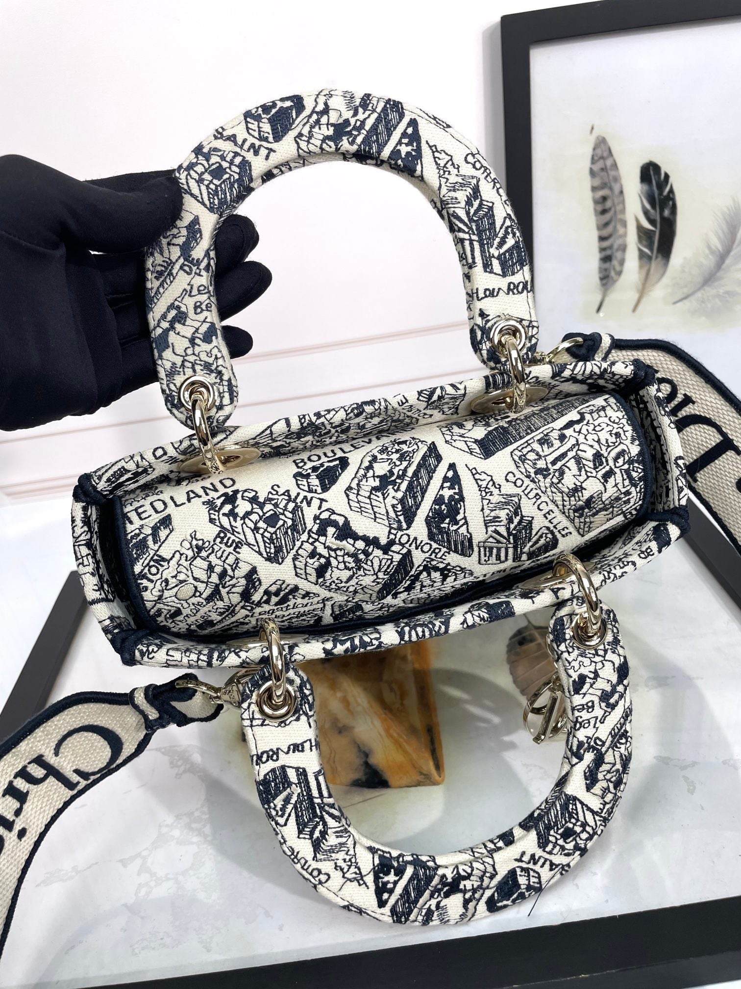 Christian Dior Lady D-Lite Bag - Blue Toile de Jouy Reverse Embroidery