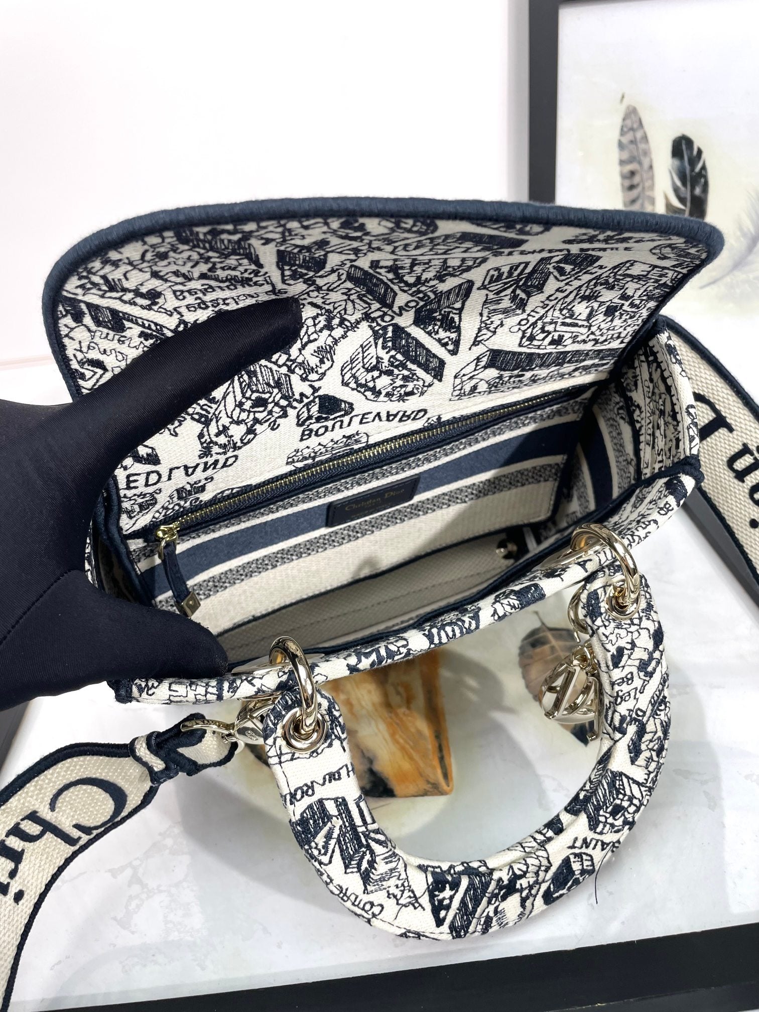 Christian Dior Lady D-Lite Bag - Blue Toile de Jouy Reverse Embroidery