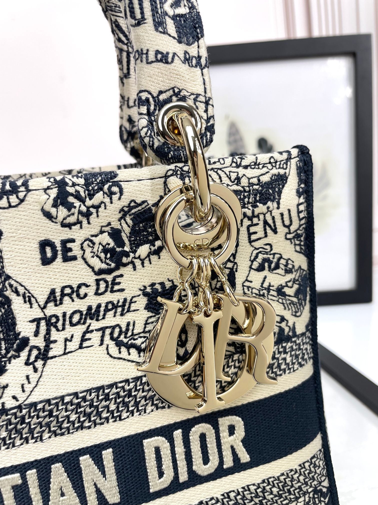 Christian Dior Lady D-Lite Bag - Blue Toile de Jouy Reverse Embroidery
