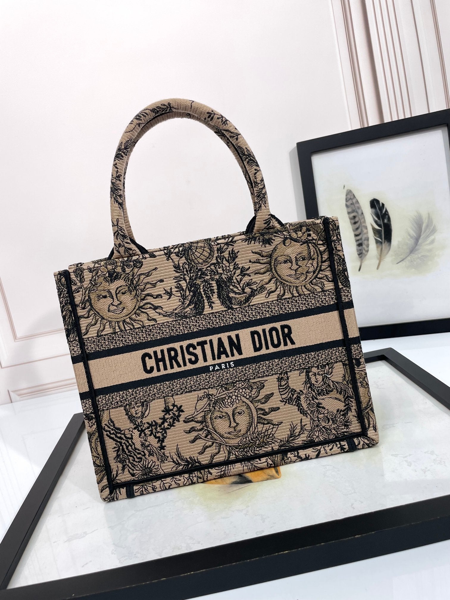 Christian Dior Medium Book Tote Bag with Sun and Moon Embroidery - Beige and Black