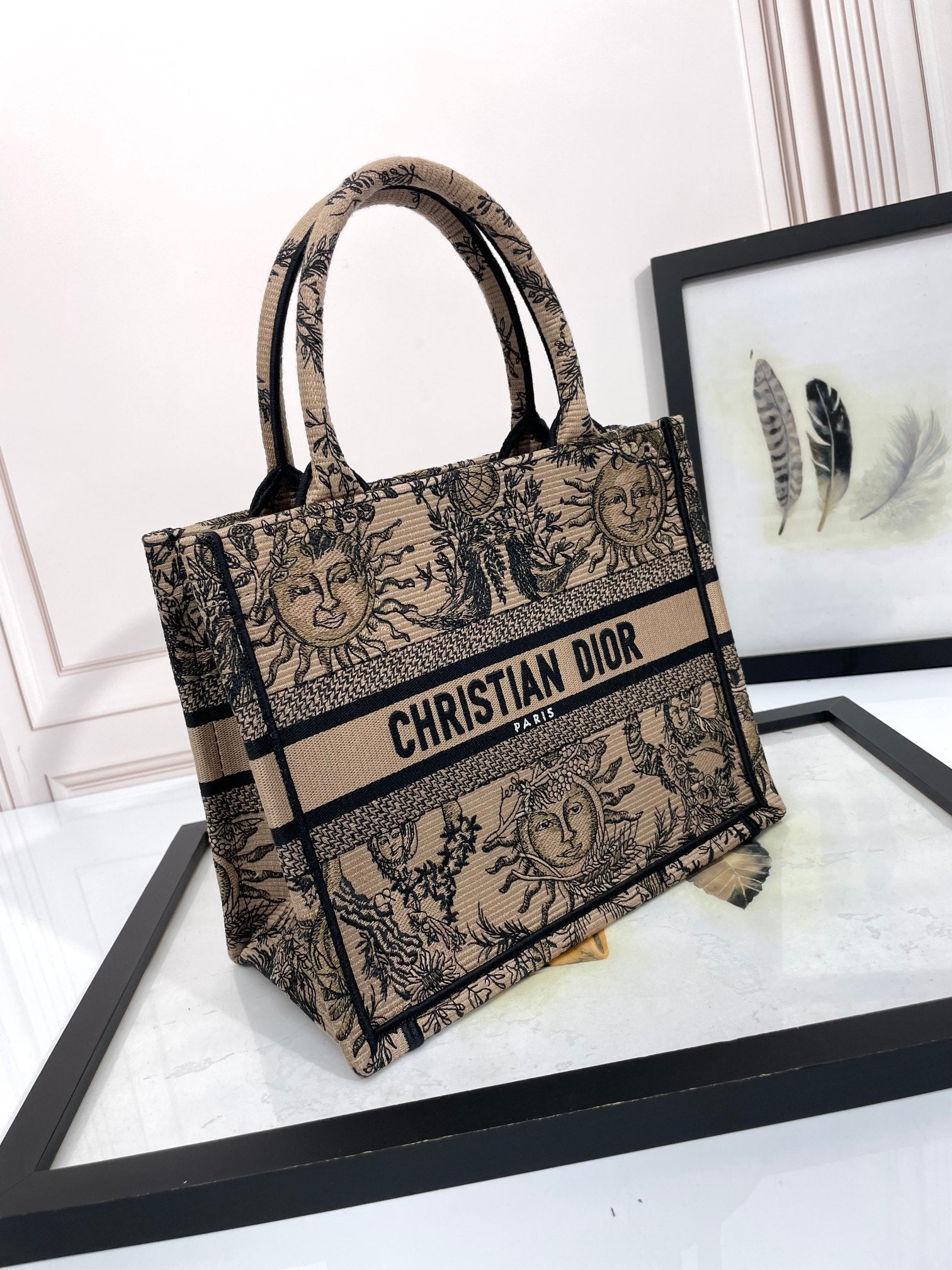 Christian Dior Medium Book Tote Bag with Sun and Moon Embroidery - Beige and Black