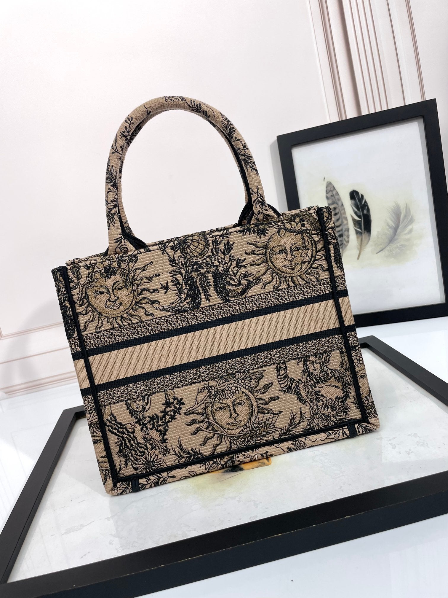 Christian Dior Book Tote Canvas Bag with Celestial Sun Motif