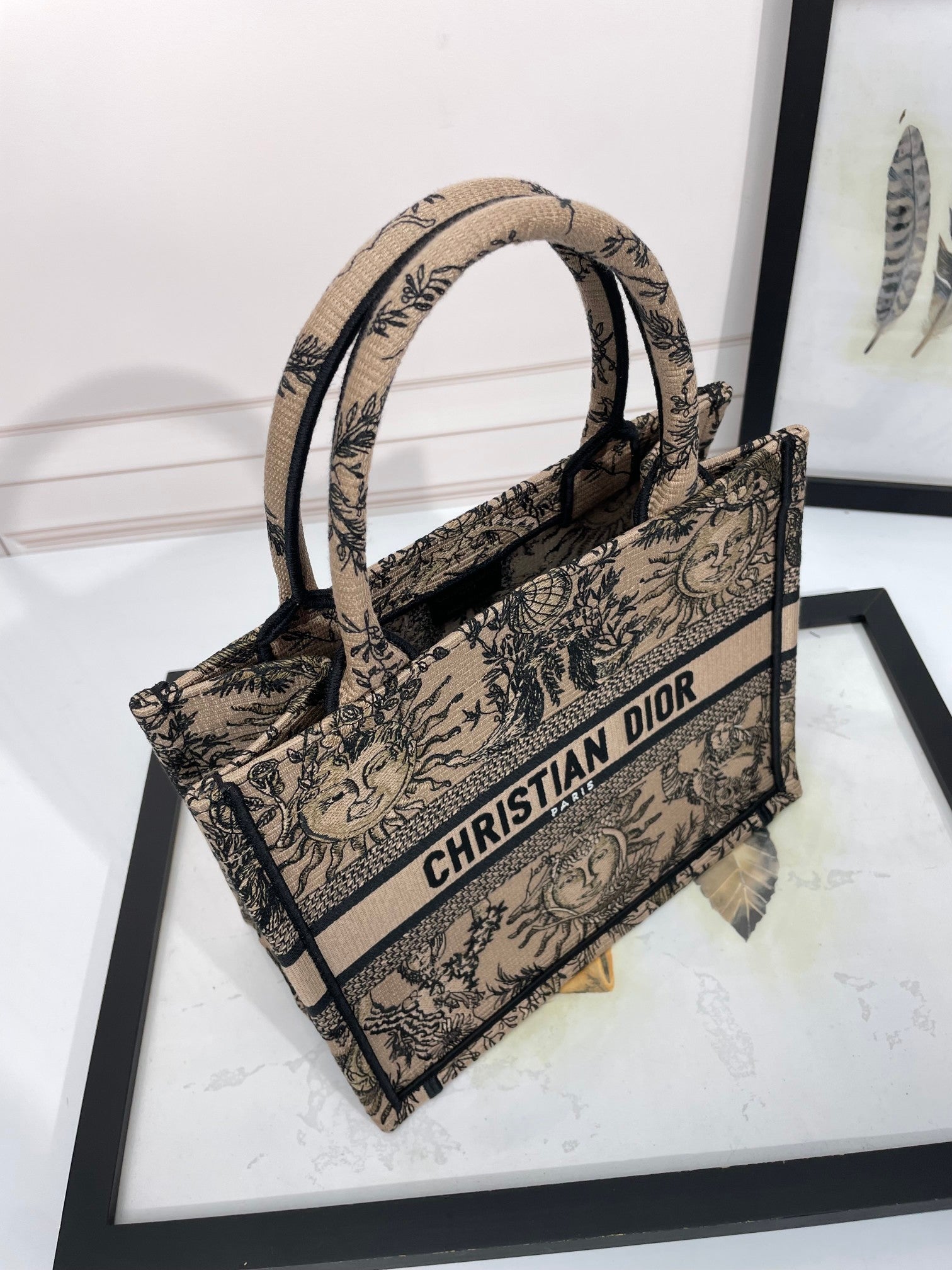 Christian Dior Book Tote Canvas Bag with Celestial Sun Motif