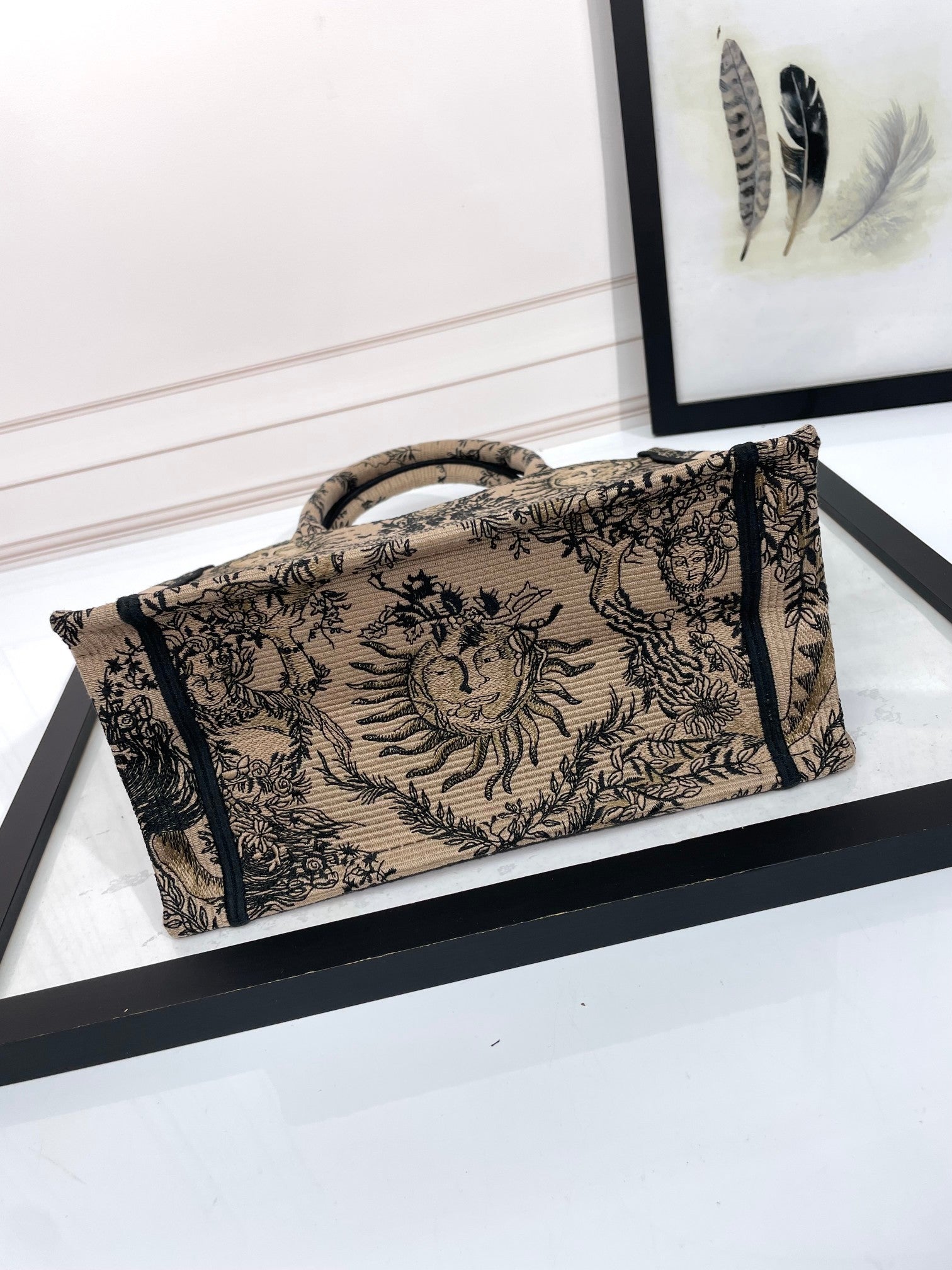Christian Dior Medium Book Tote Bag with Sun and Moon Embroidery - Beige and Black
